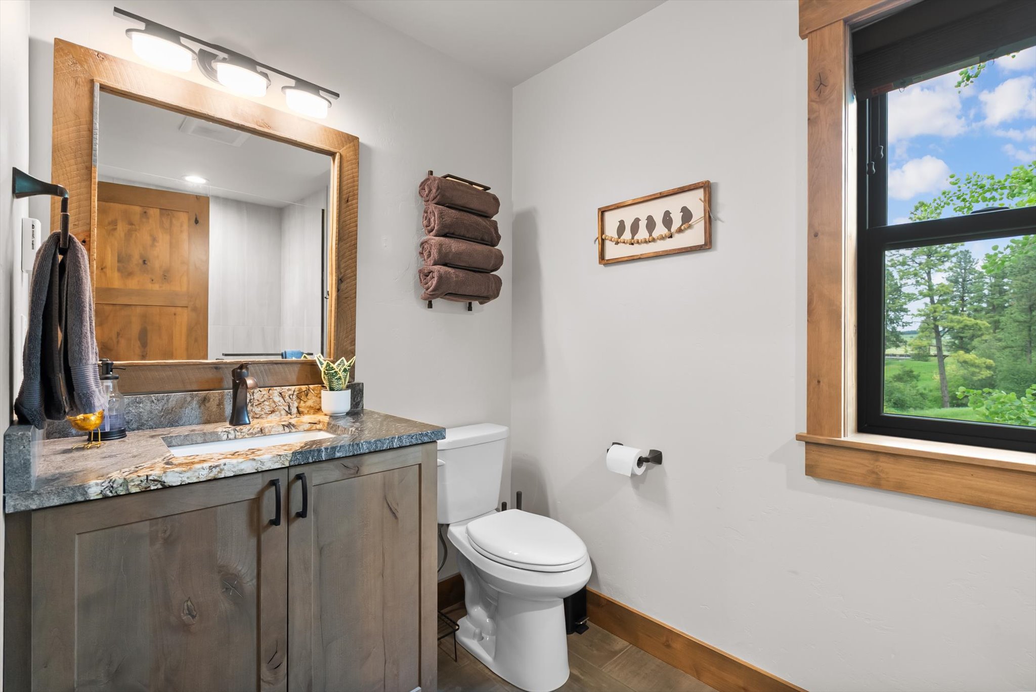 136 Antler Peak Lane Property Photo 19