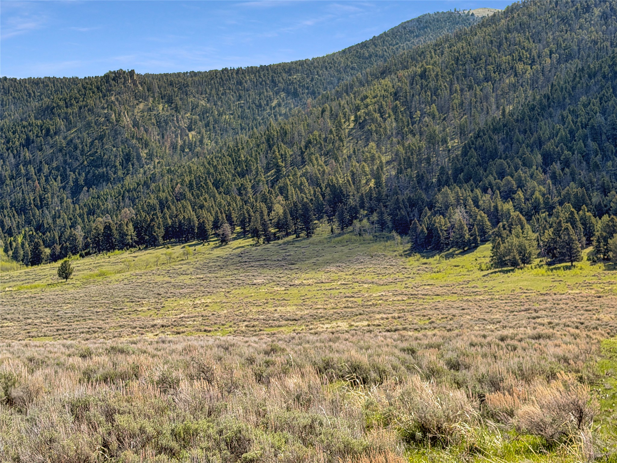 Lot 2 & 4a Continental Divide Road Property Photo 3