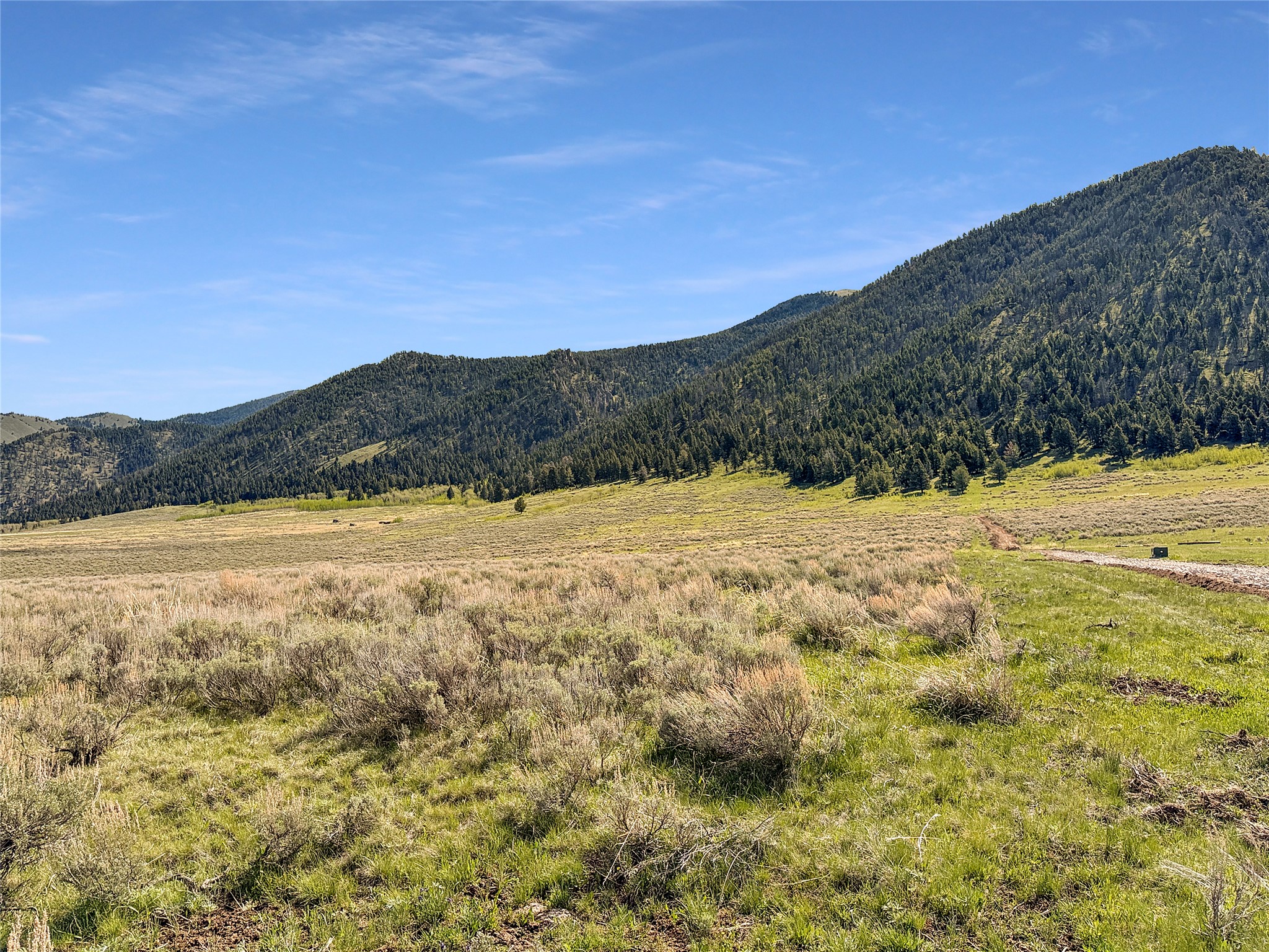 Lot 2 & 4a Continental Divide Road Property Photo 4