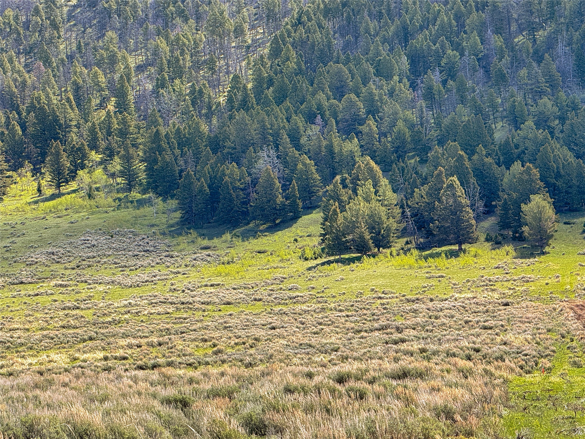Lot 2 & 4a Continental Divide Road Property Photo 5
