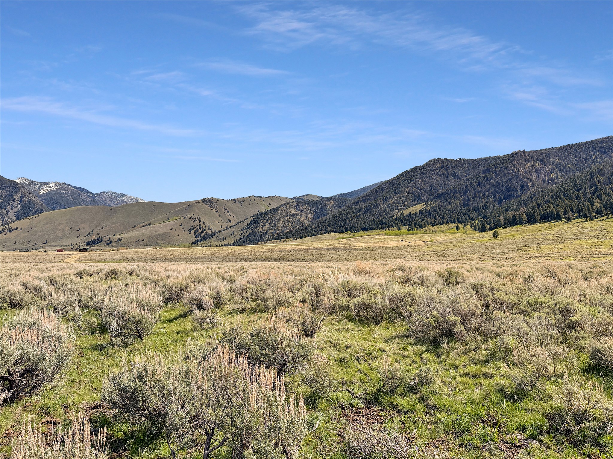Lot 2 & 4a Continental Divide Road Property Photo 6