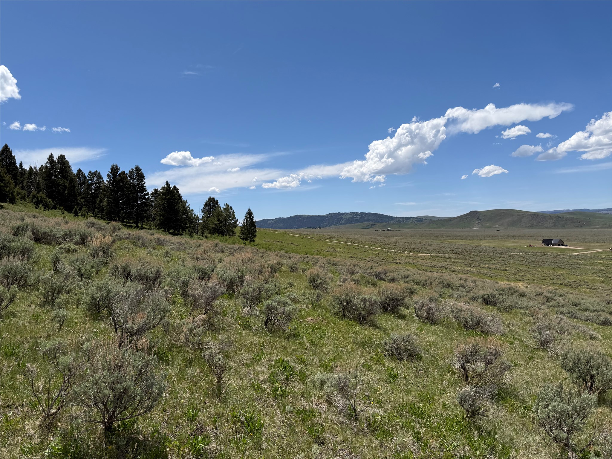 Lot 2 & 4a Continental Divide Road Property Photo 8