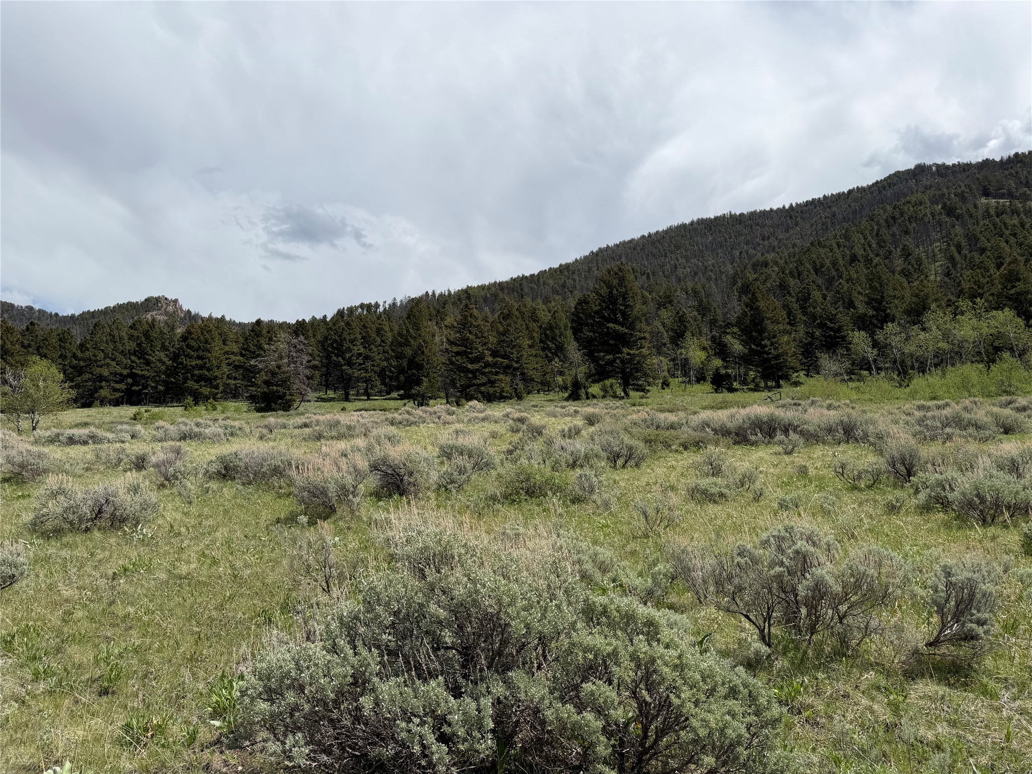 Lot 2 & 4a Continental Divide Road Property Photo 10