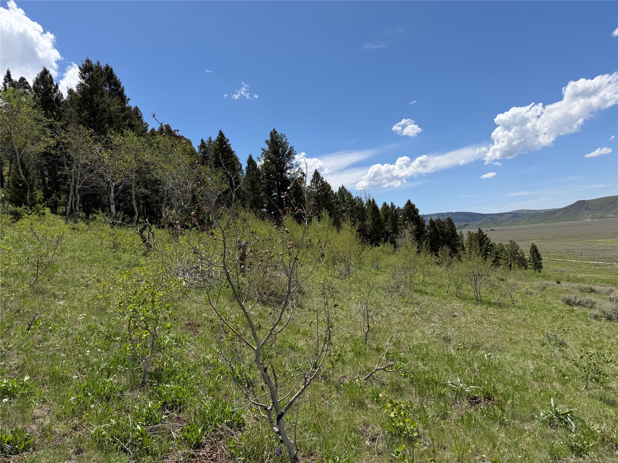 Lot 2 & 4a Continental Divide Road Property Photo 13