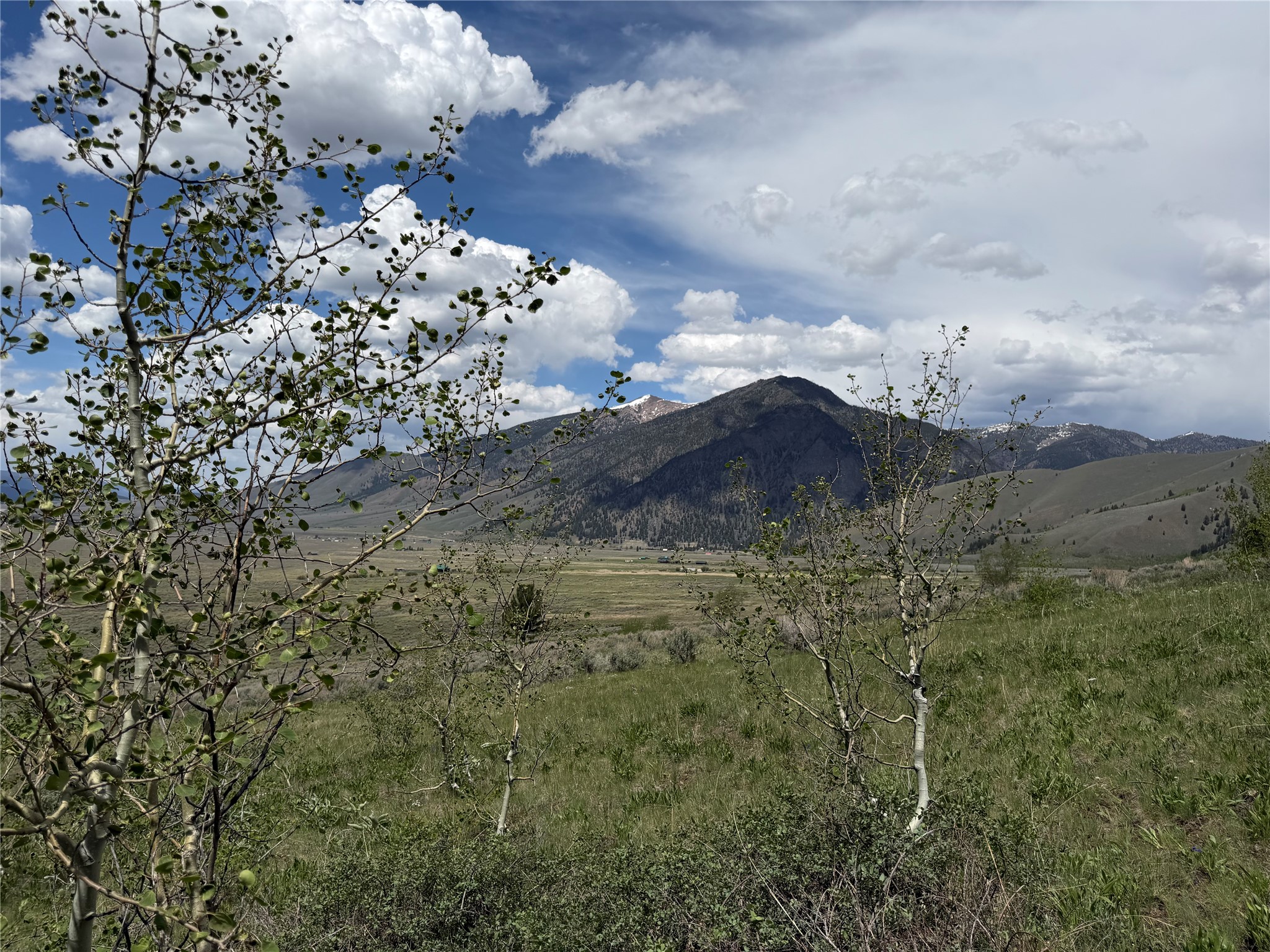 Lot 2 & 4a Continental Divide Road Property Photo 17