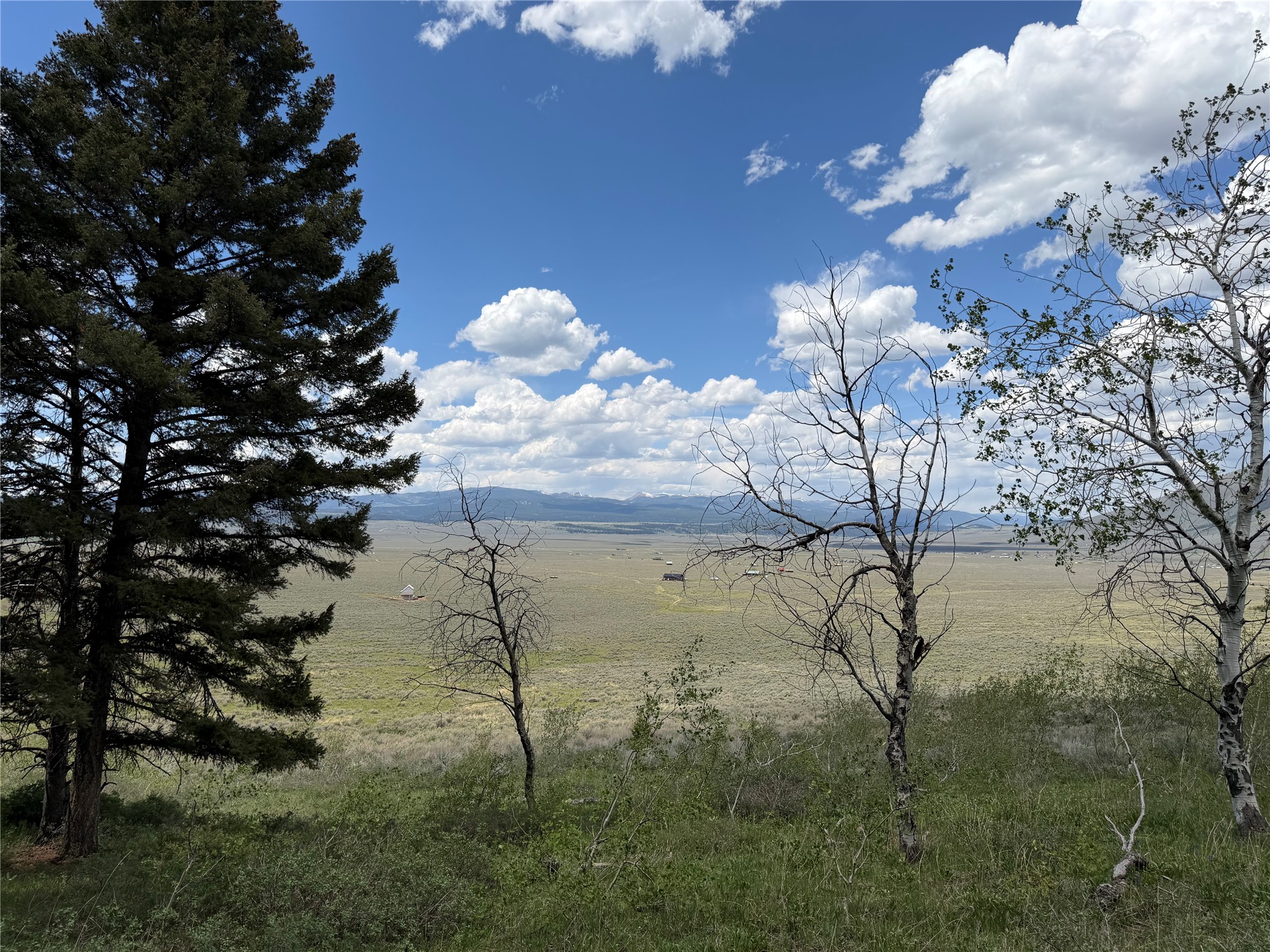 Lot 2 & 4a Continental Divide Road Property Photo 18