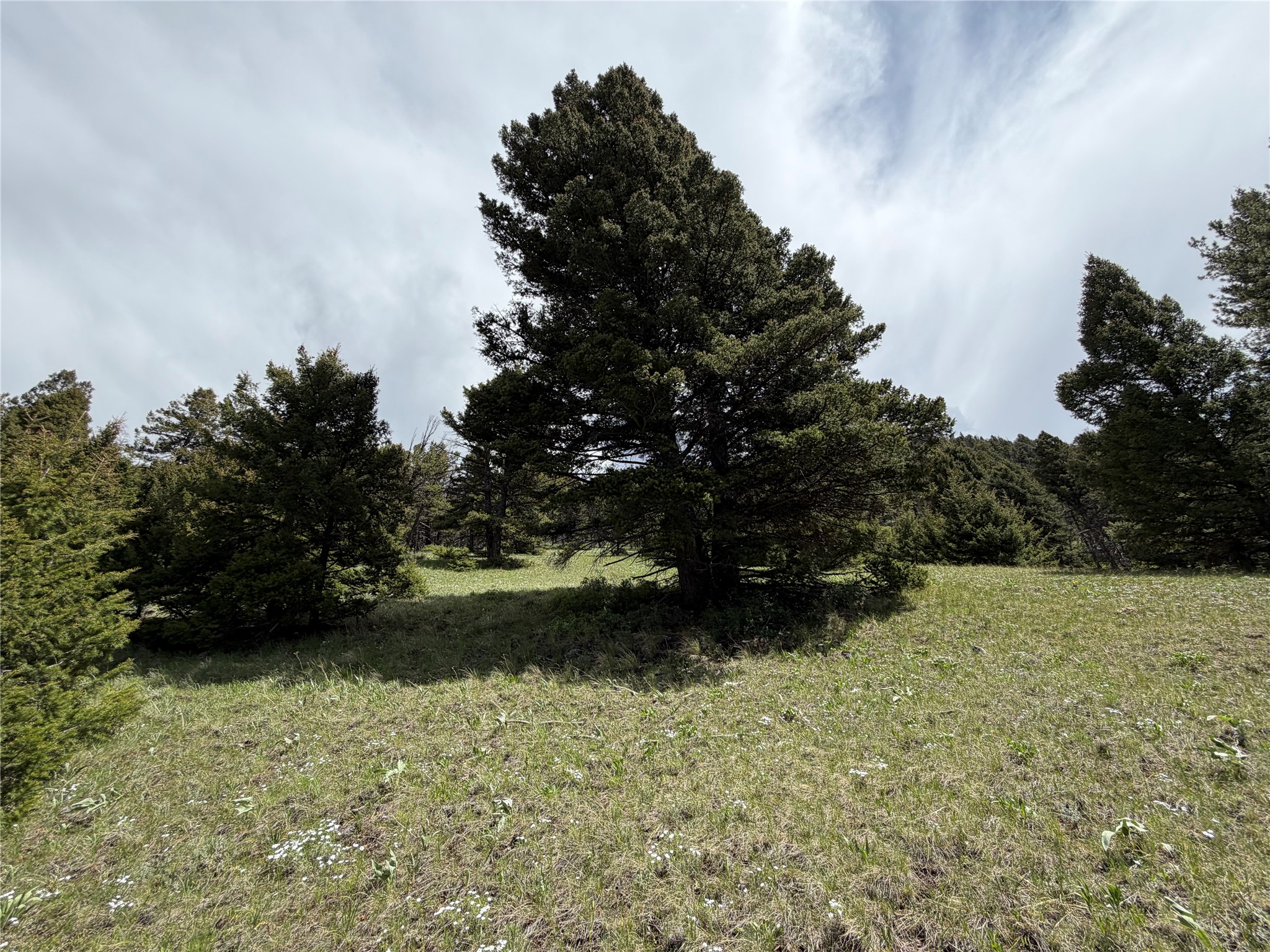 Lot 2 & 4a Continental Divide Road Property Photo 19