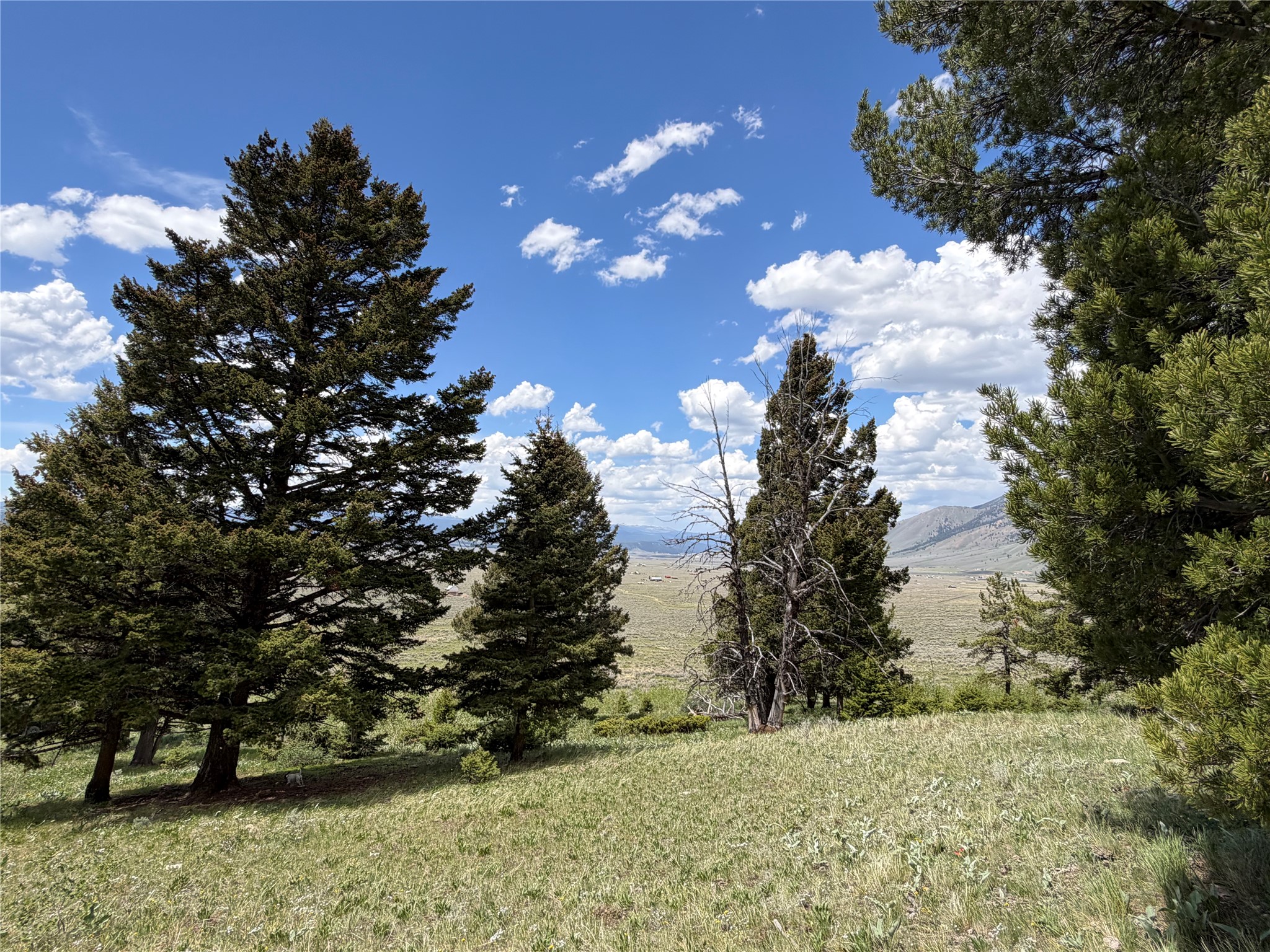 Lot 2 & 4a Continental Divide Road Property Photo 22