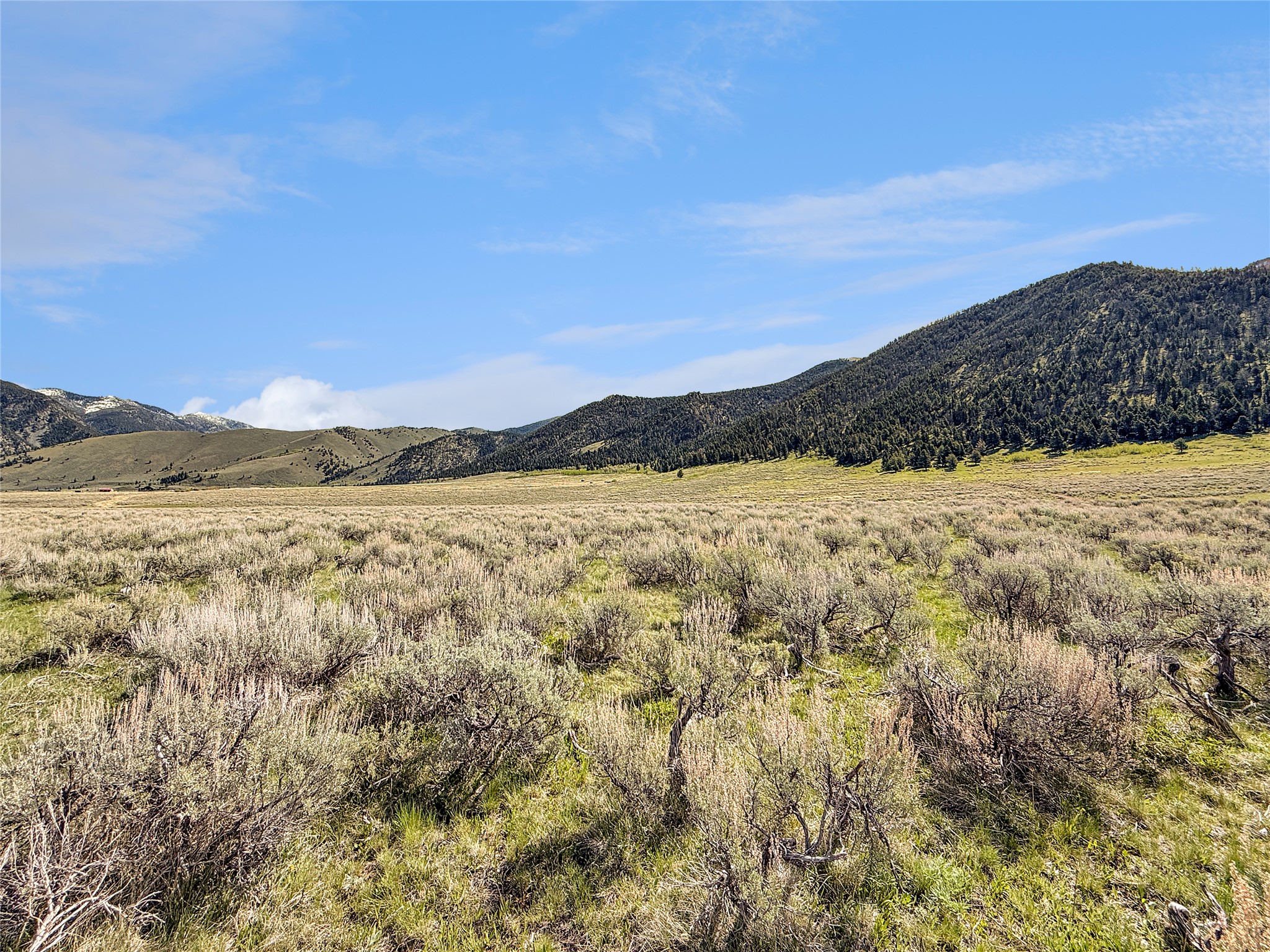 Lot 2 & 4a Continental Divide Road Property Photo 23