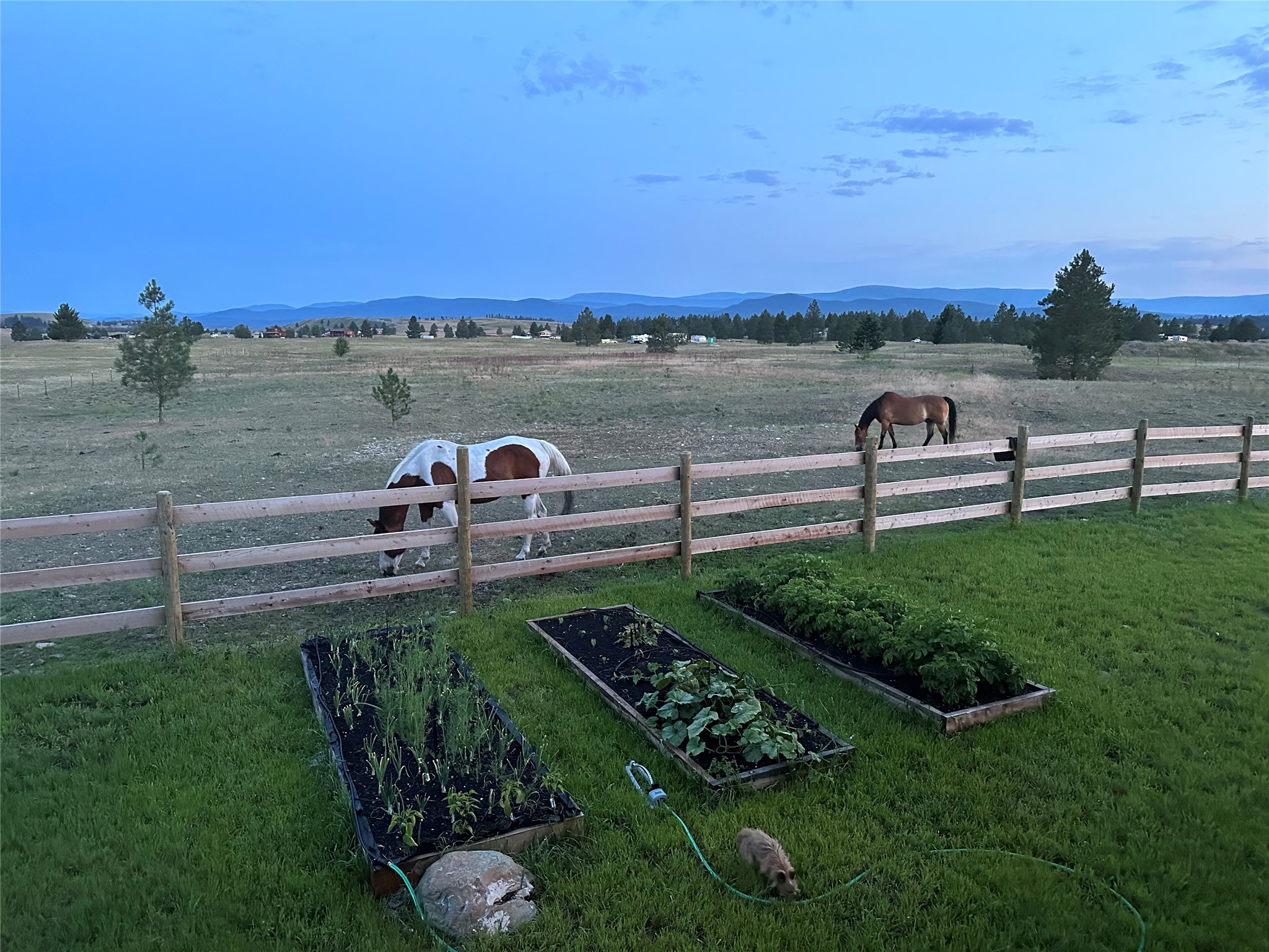 87 Velvet Grove Property Photo 45