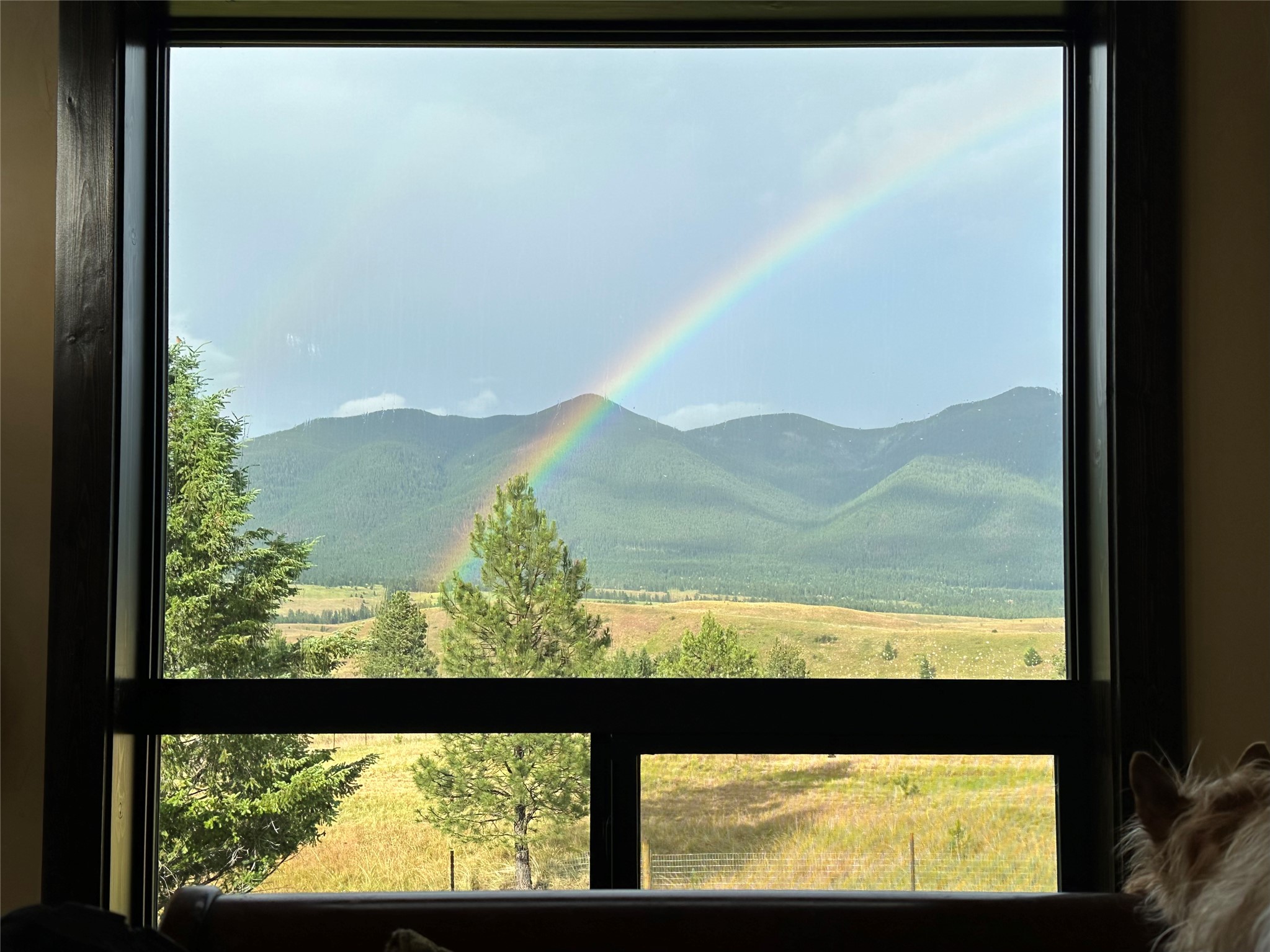 87 Velvet Grove Property Photo 47