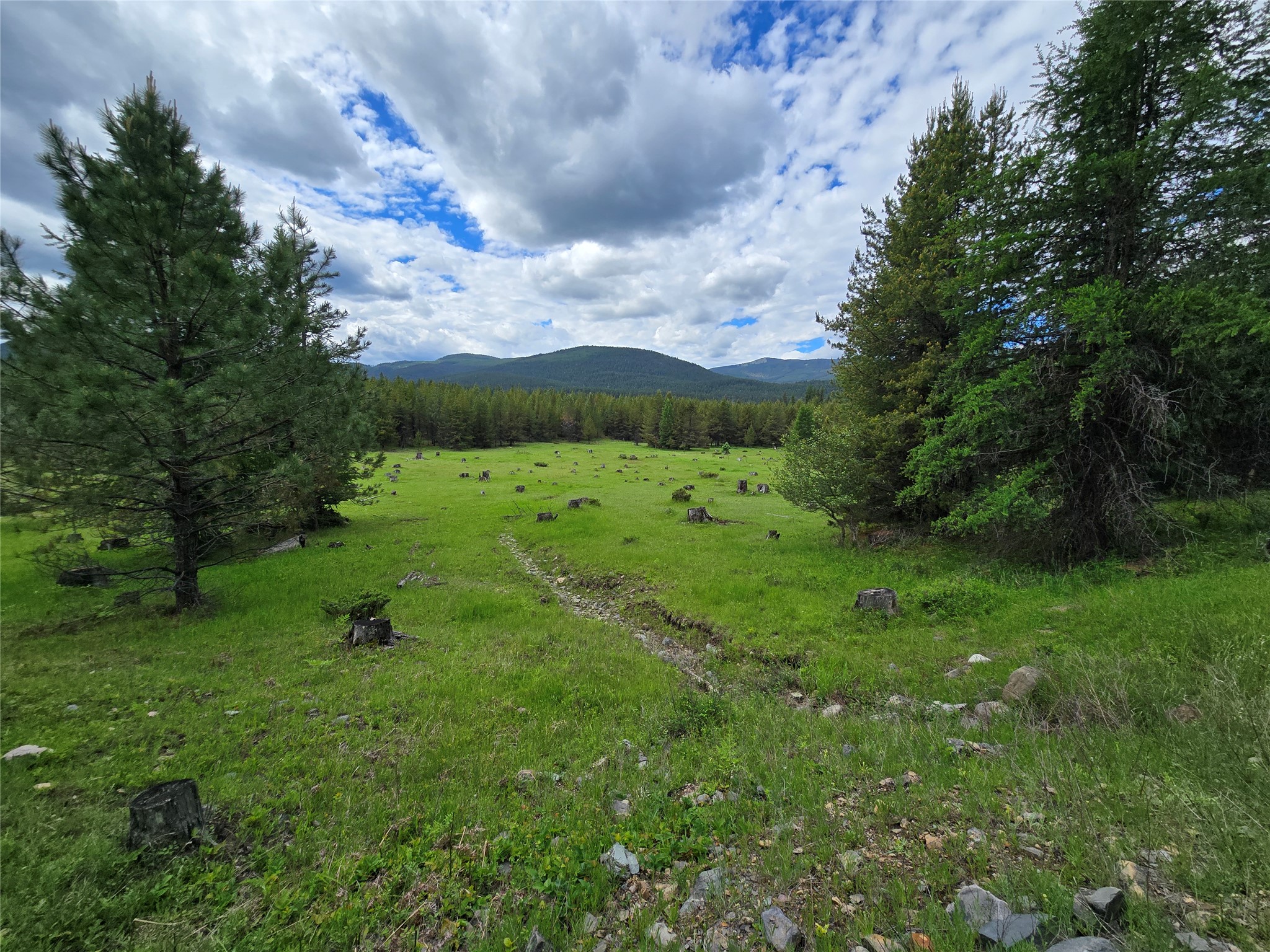 Tbd Yaak River Road Property Photo 2