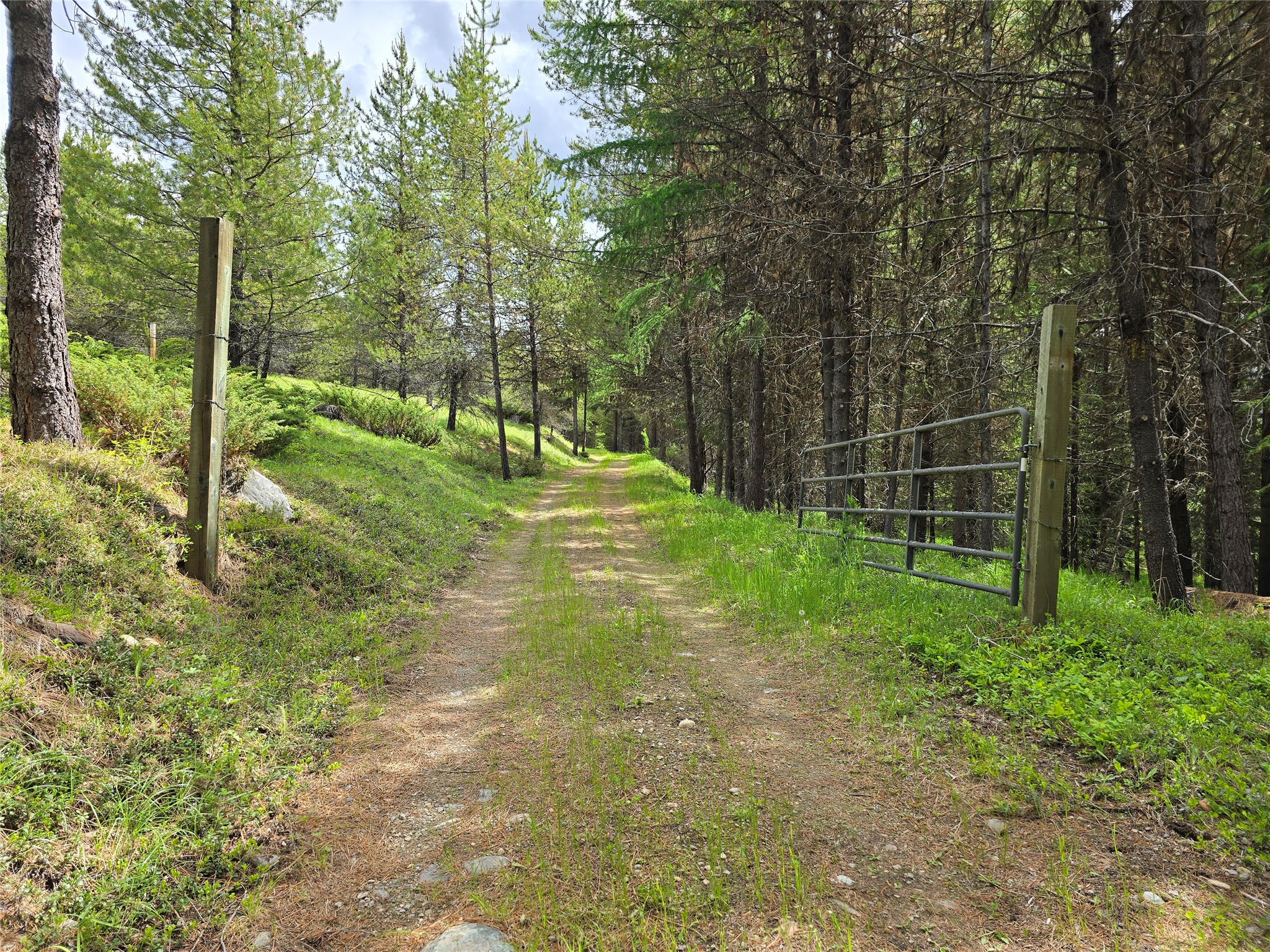 Tbd Yaak River Road Property Photo 3