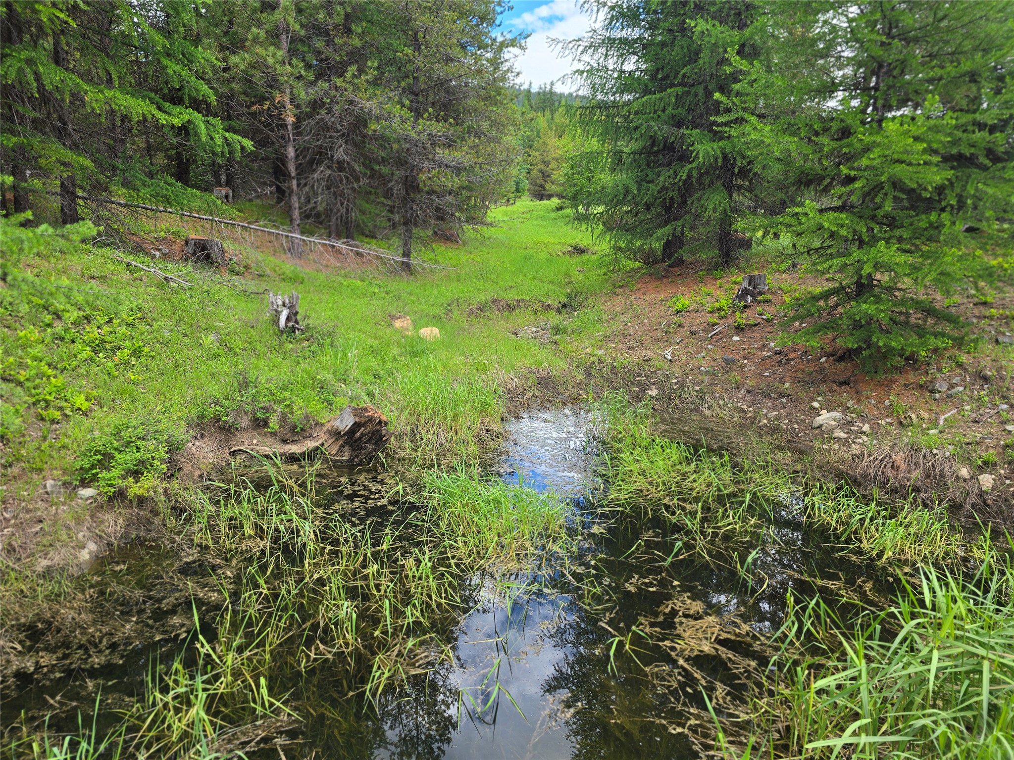 Tbd Yaak River Road Property Photo 4