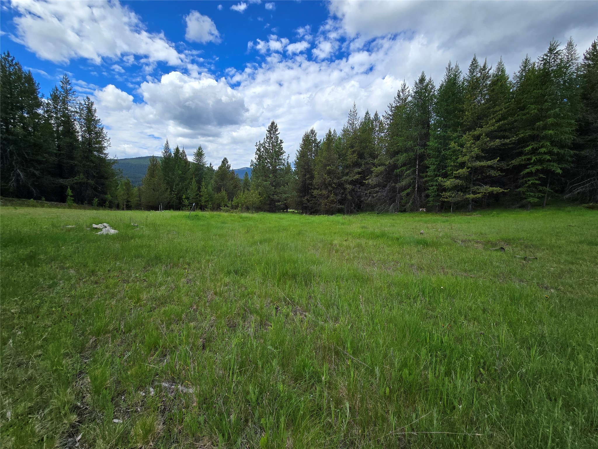 Tbd Yaak River Road Property Photo 6