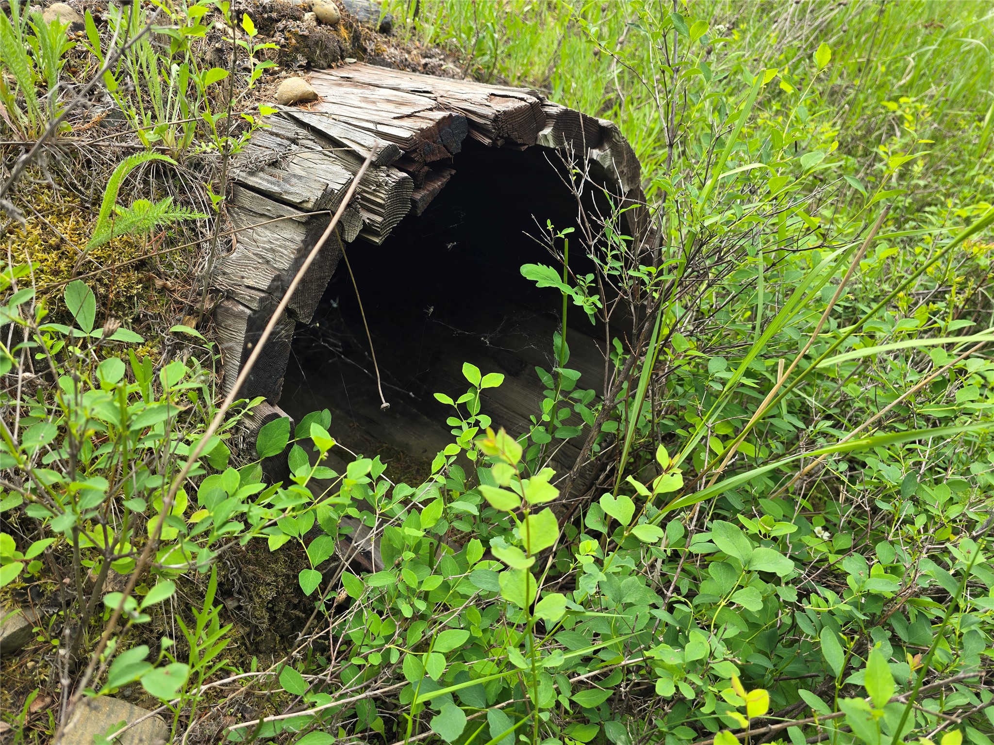 Tbd Yaak River Road Property Photo 7