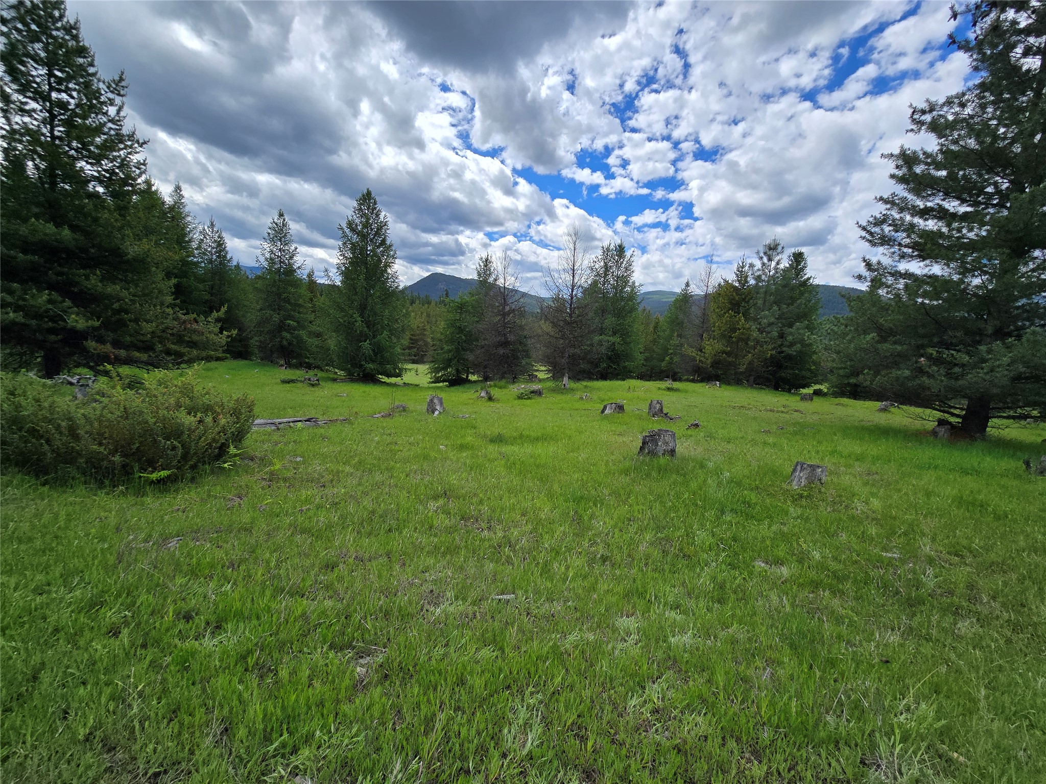 Tbd Yaak River Road Property Photo 8