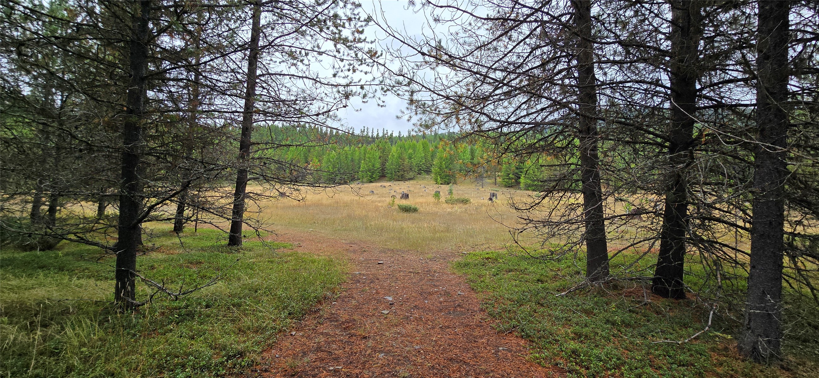 Tbd Yaak River Road Property Photo 9