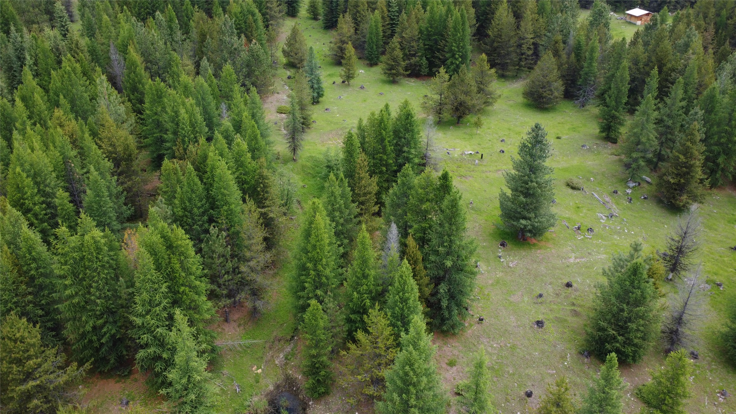 Tbd Yaak River Road Property Photo 10