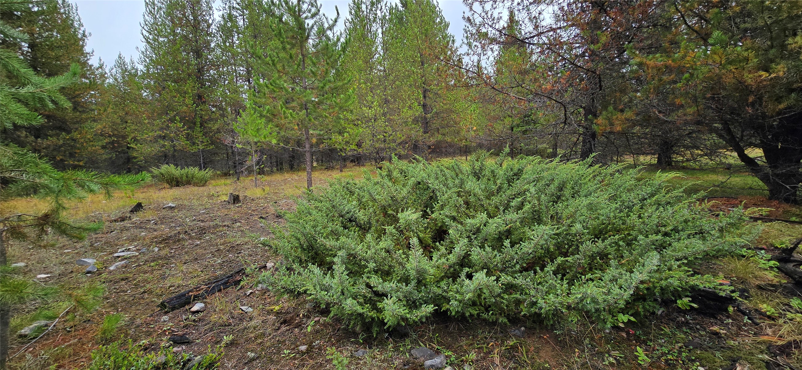 Tbd Yaak River Road Property Photo 13