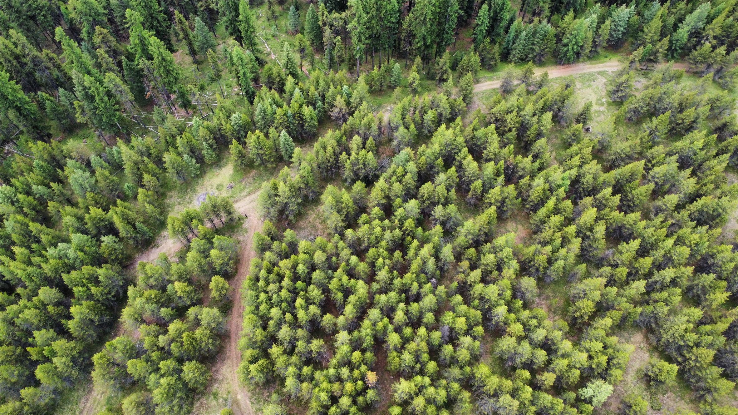 Tbd Yaak River Road Property Photo 16