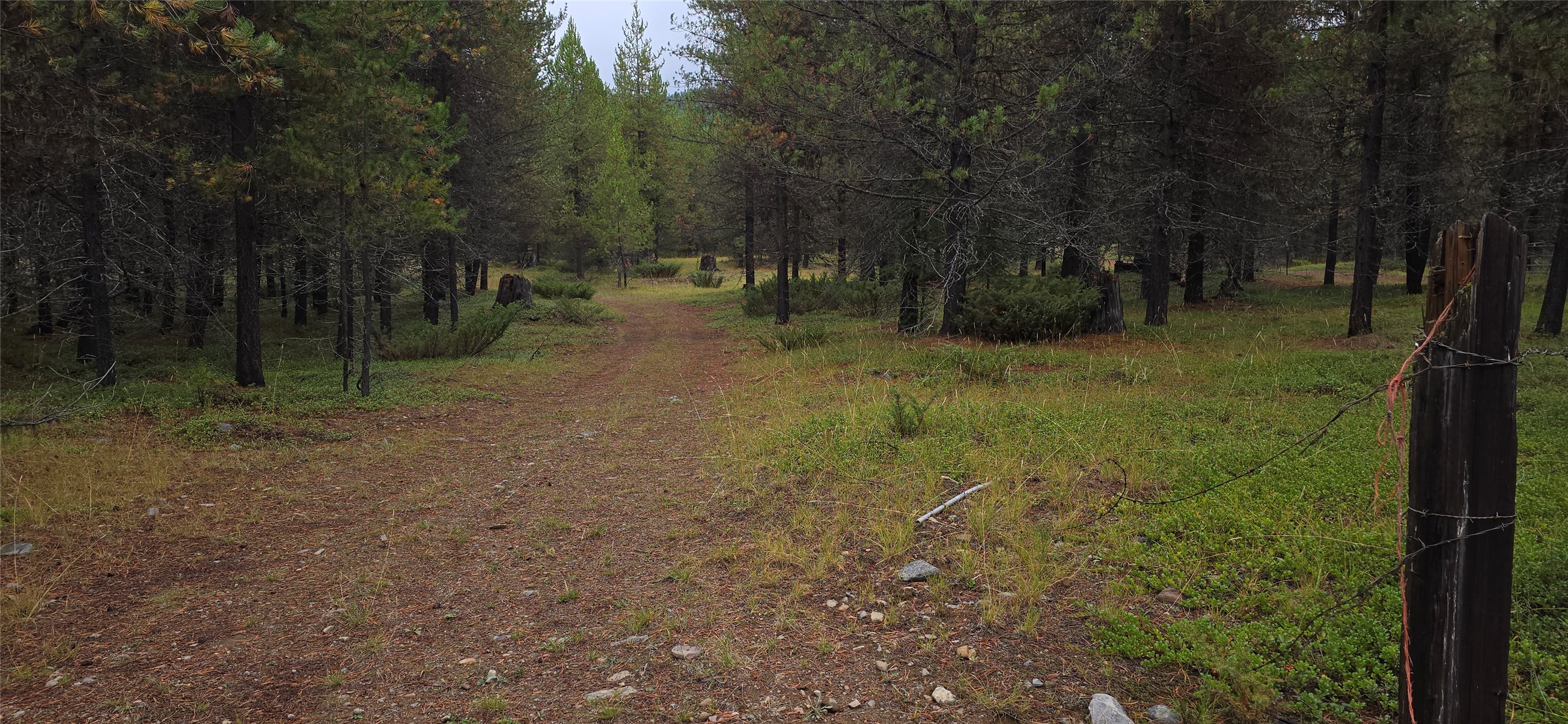Tbd Yaak River Road Property Photo 18