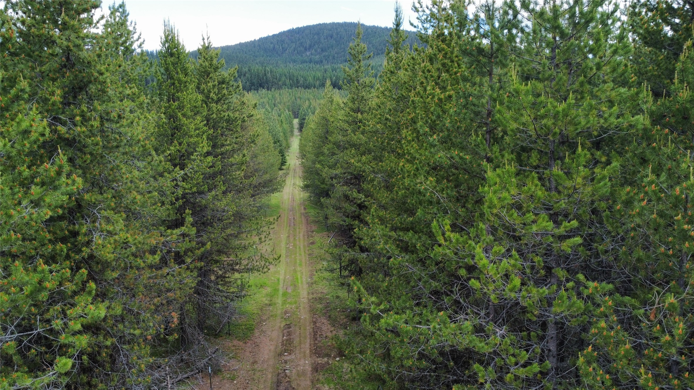 Tbd Yaak River Road Property Photo 19