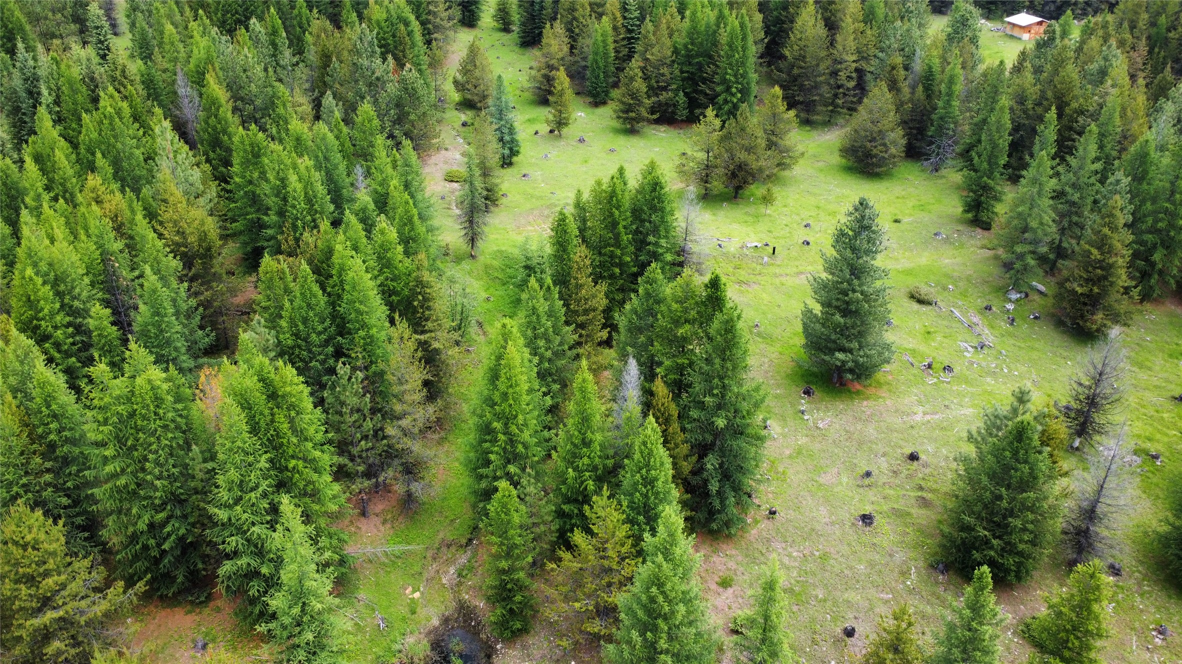 Tbd Yaak River Road Property Photo 20