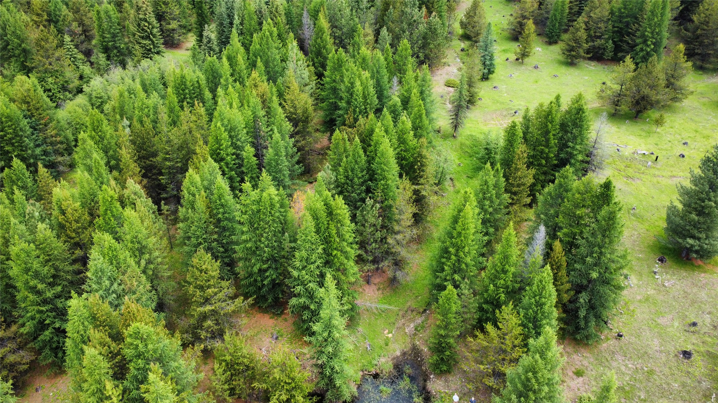 Tbd Yaak River Road Property Photo 21