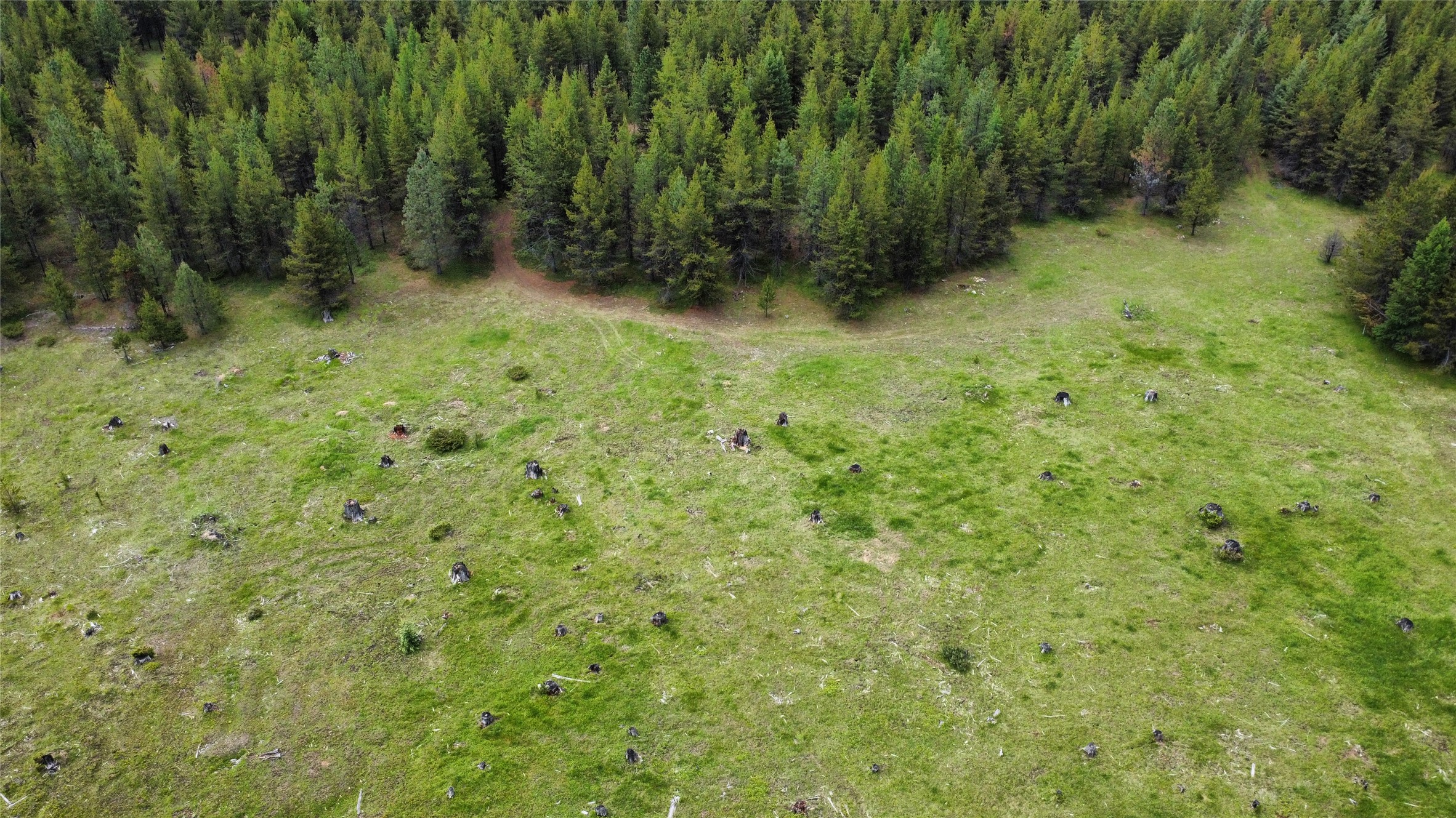 Tbd Yaak River Road Property Photo 22