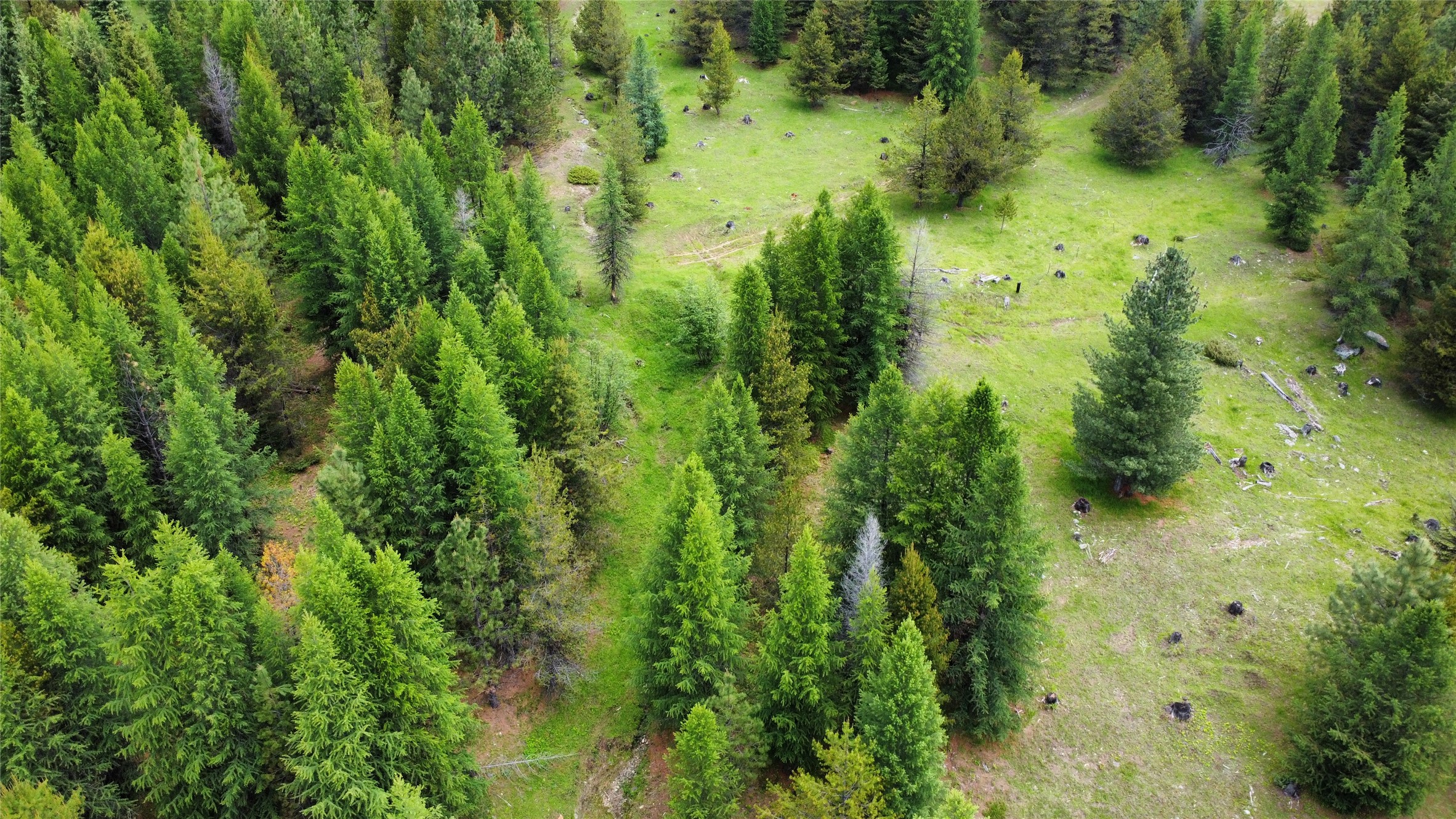 Tbd Yaak River Road Property Photo 23