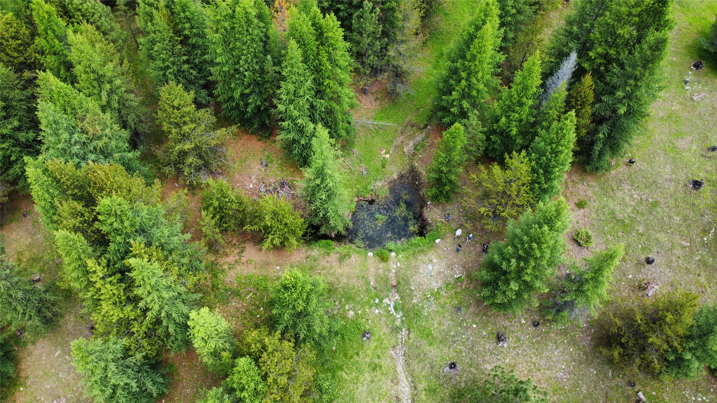 Tbd Yaak River Road Property Photo 24