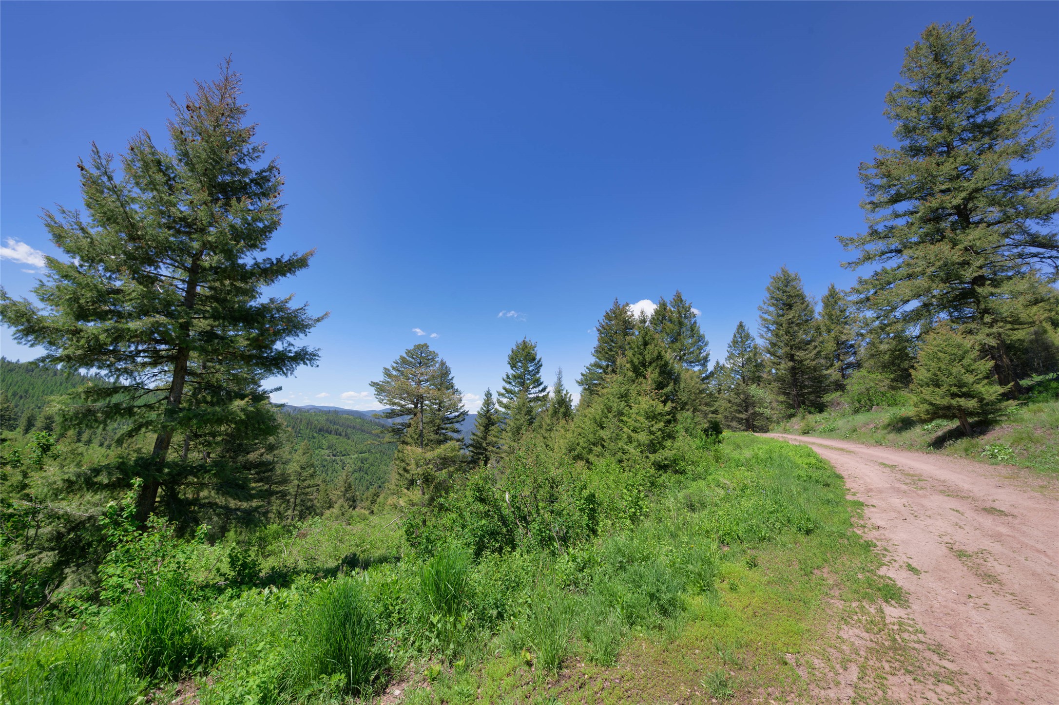 25575 Patter Spur Road Property Photo 24