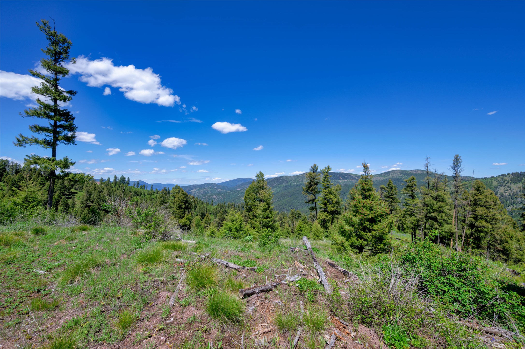 25575 Patter Spur Road Property Photo 32