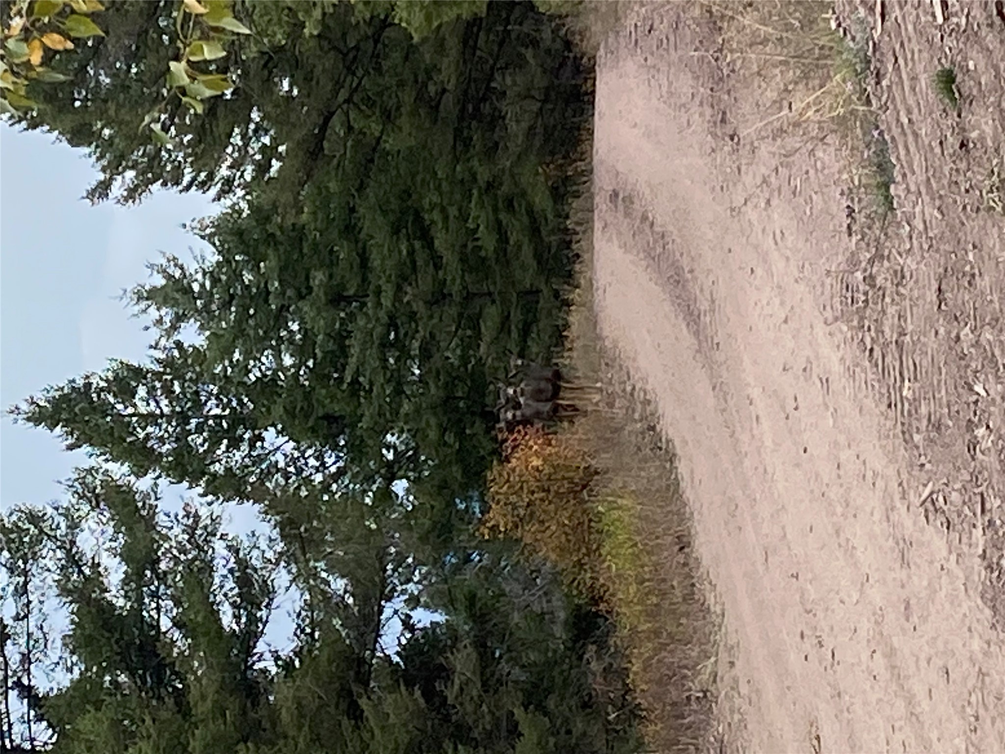 25575 Patter Spur Road Property Photo 56