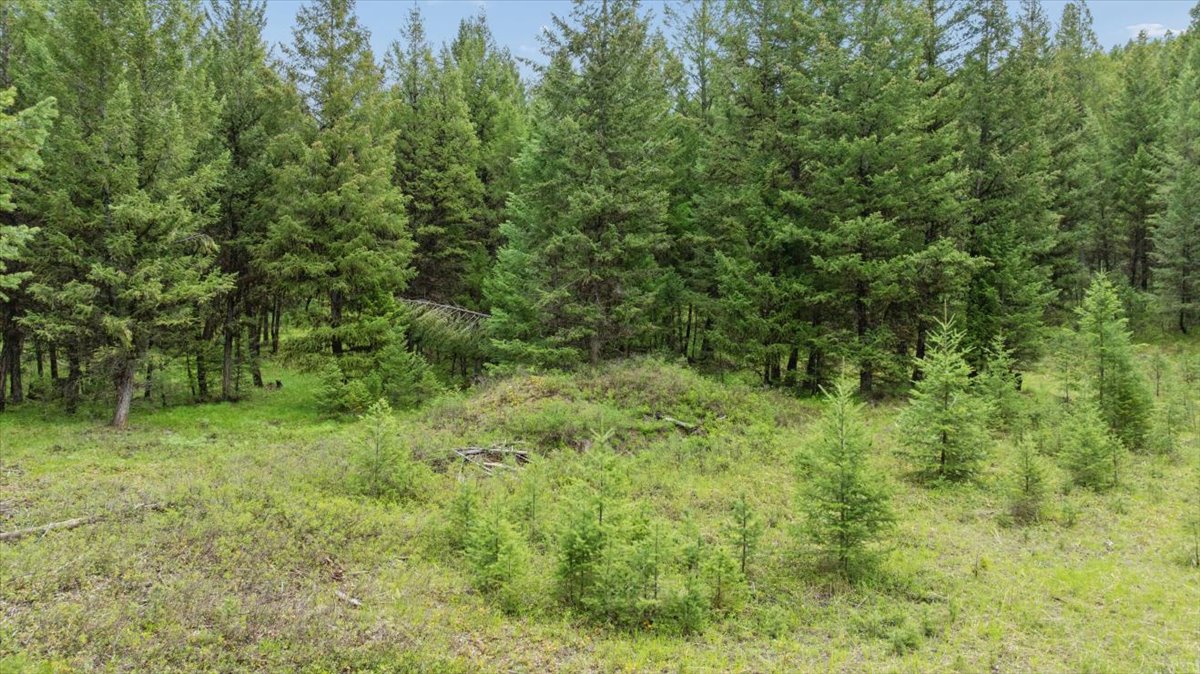Nhn Johnson Draw Road Property Photo 12