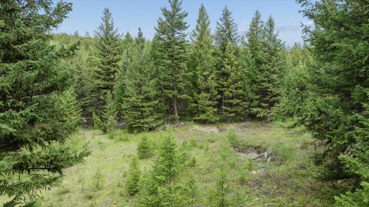 Nhn Johnson Draw Road Property Photo 13