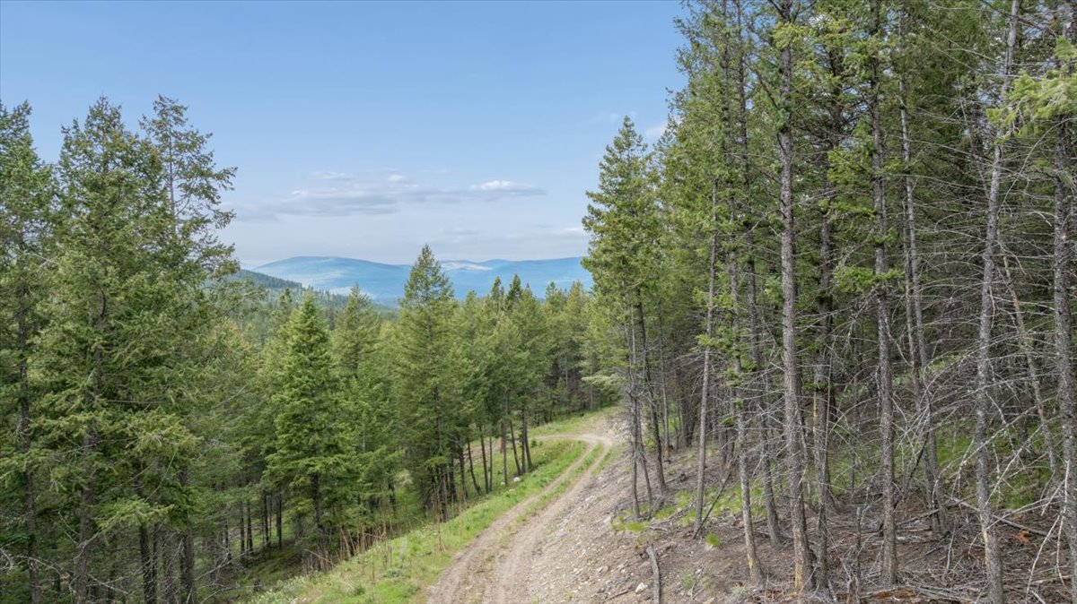 Nhn Johnson Draw Road Property Photo 15