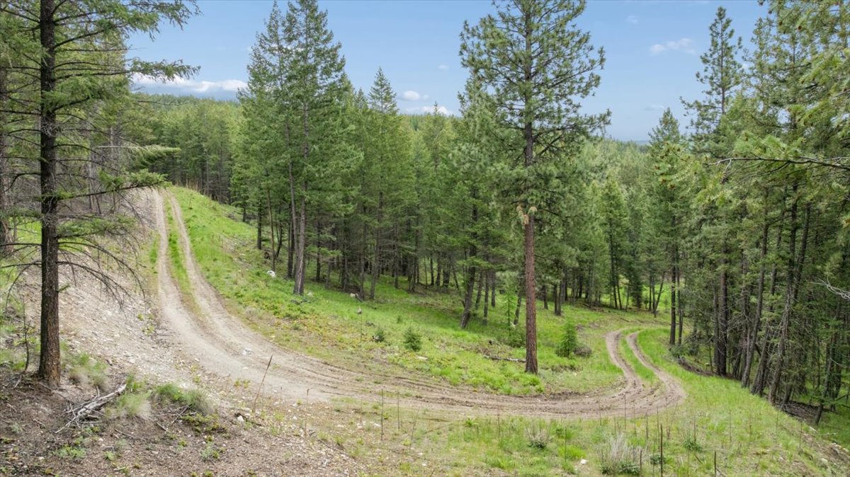 Nhn Johnson Draw Road Property Photo 16