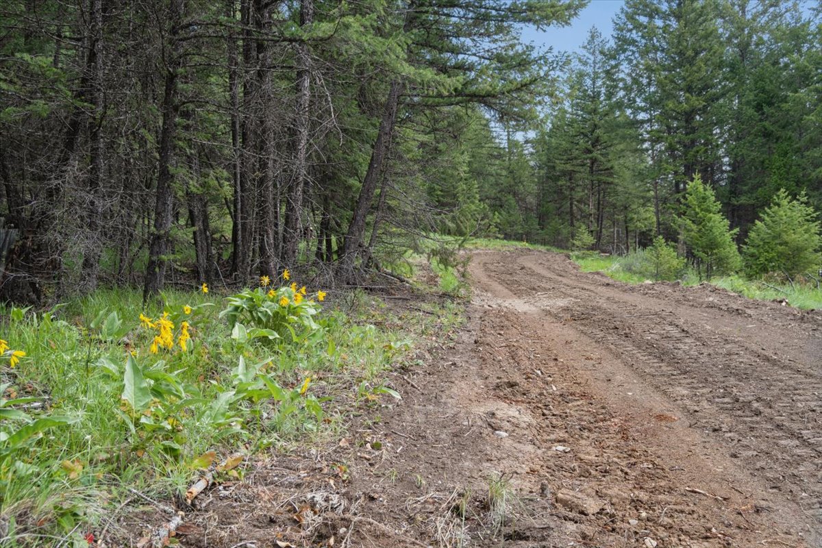 Nhn Johnson Draw Road Property Photo 18