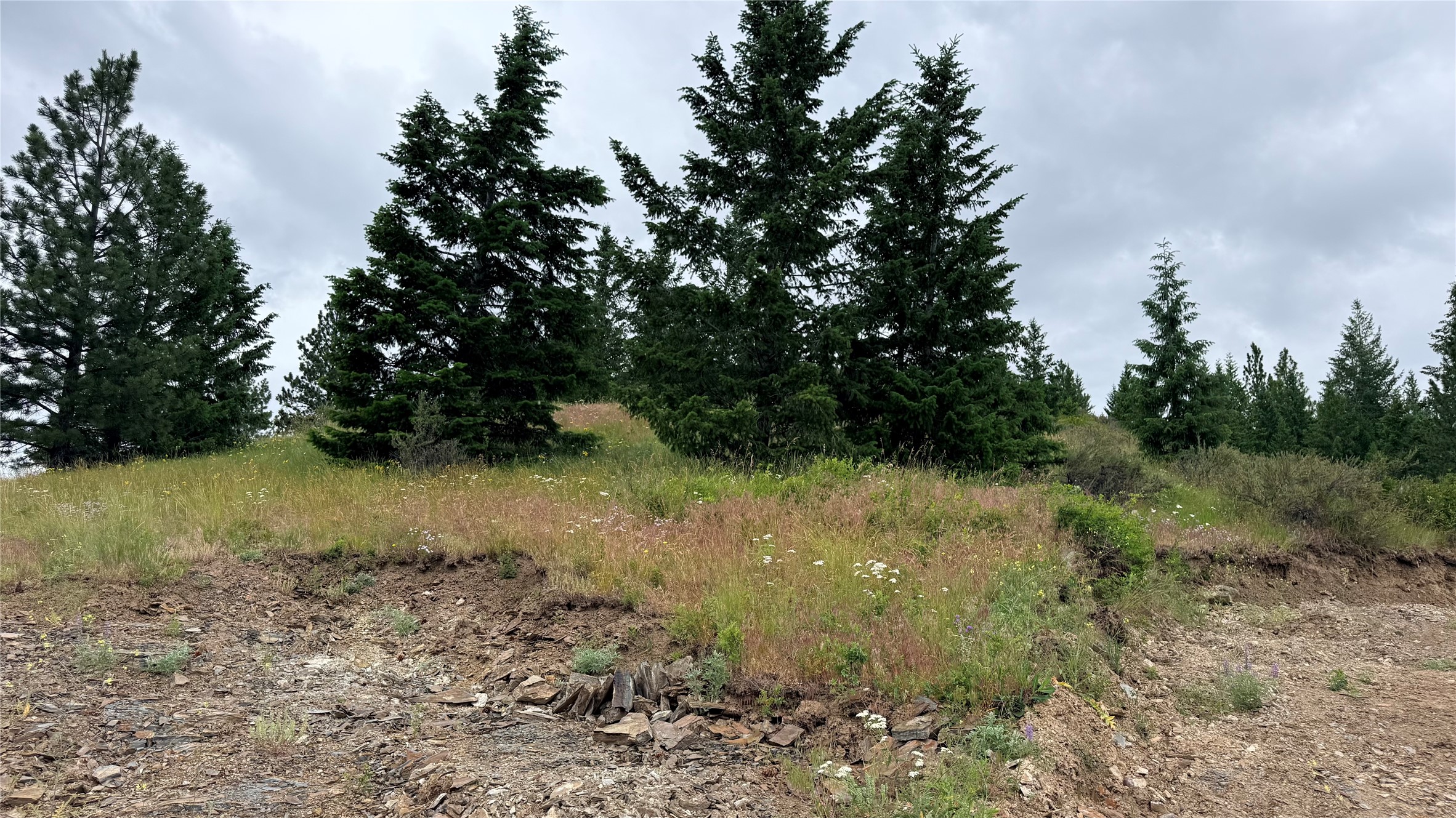 Nhn Johnson Draw Road Property Photo 28