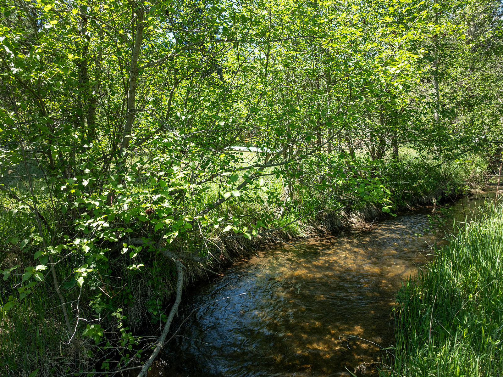 Tbd Clancy Creek Road A7 Property Photo 42