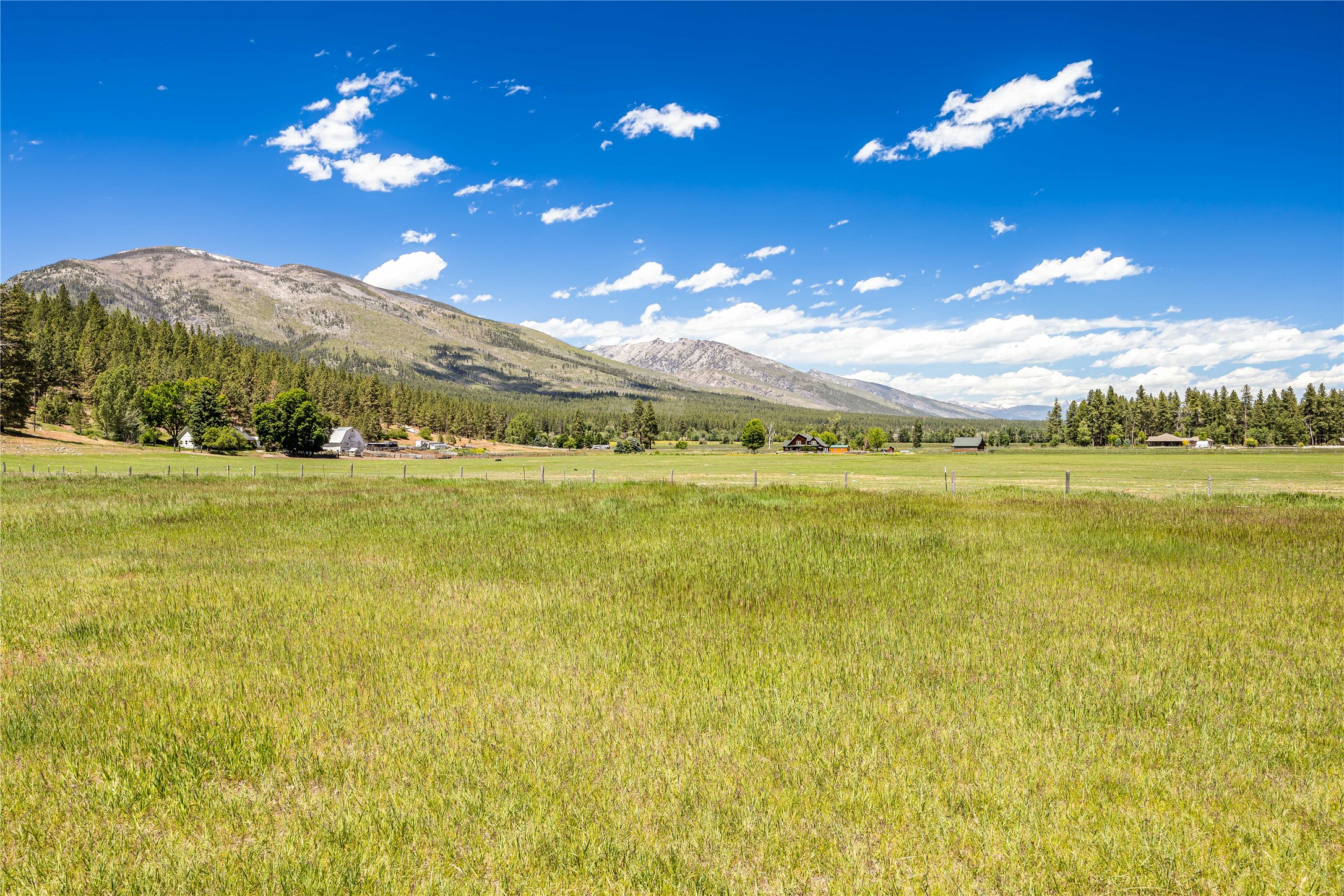 561 Camas Creek Loop Property Photo 46