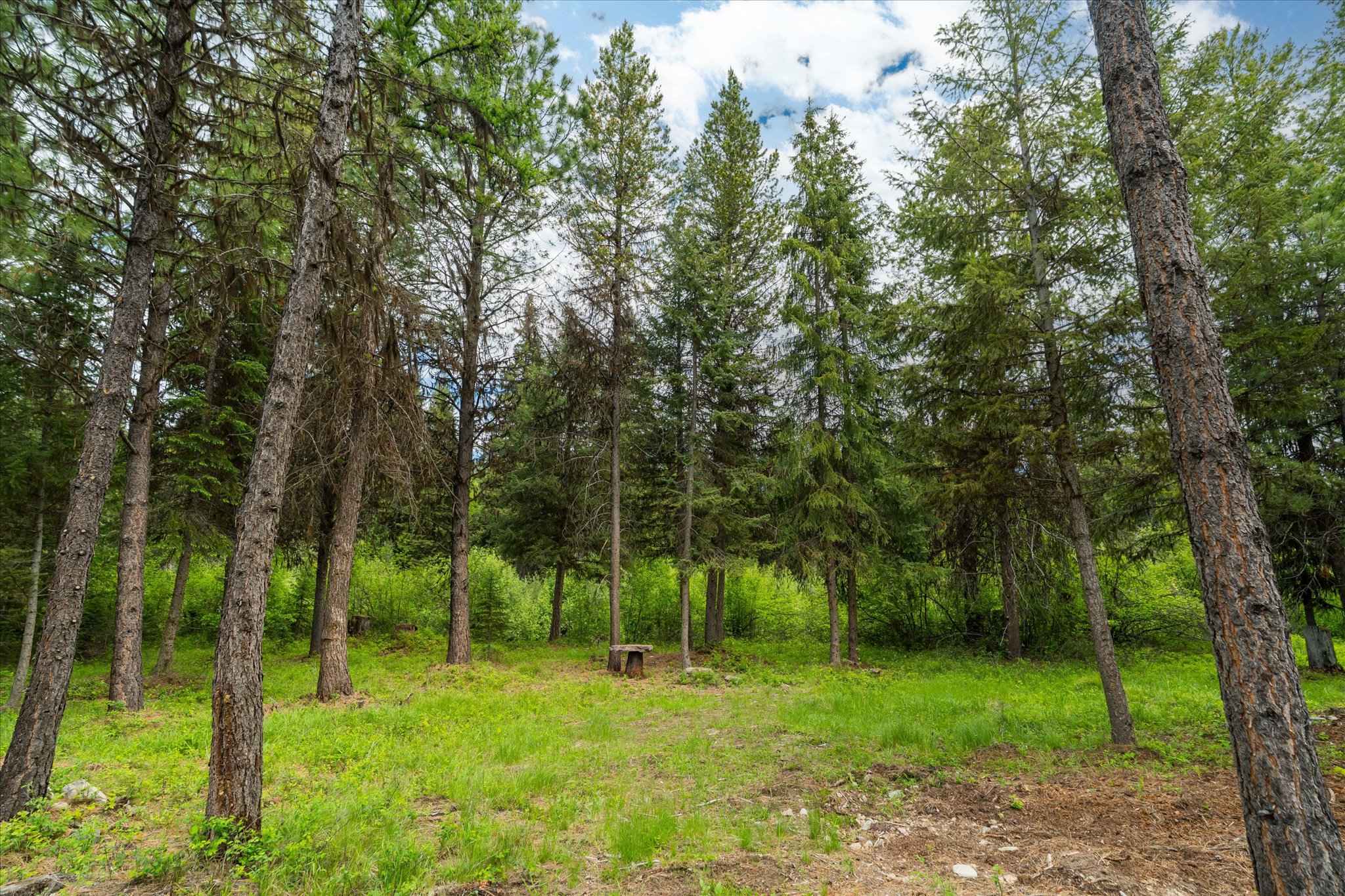 58 Loon Connector Road Property Photo 11
