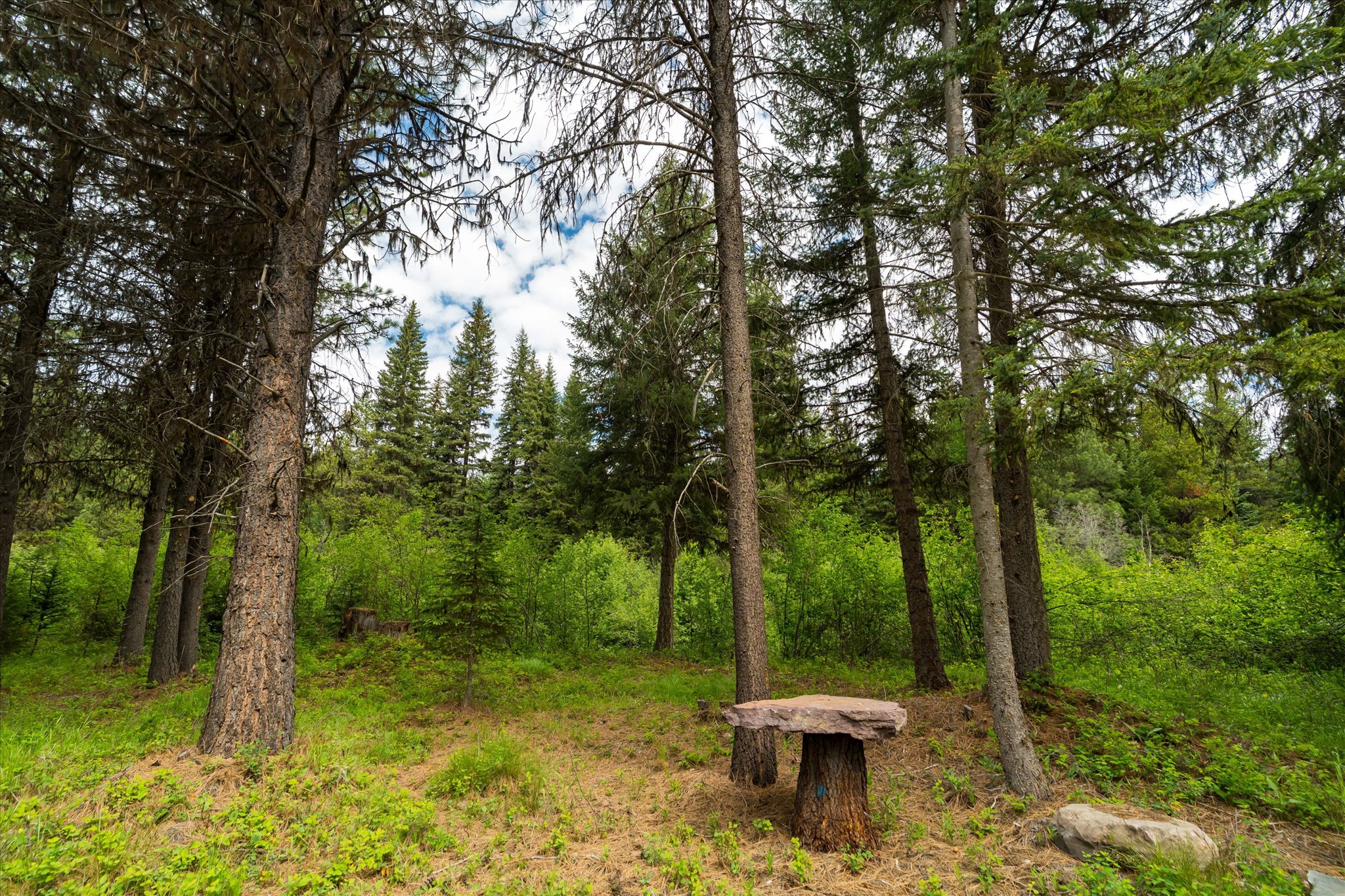 58 Loon Connector Road Property Photo 12