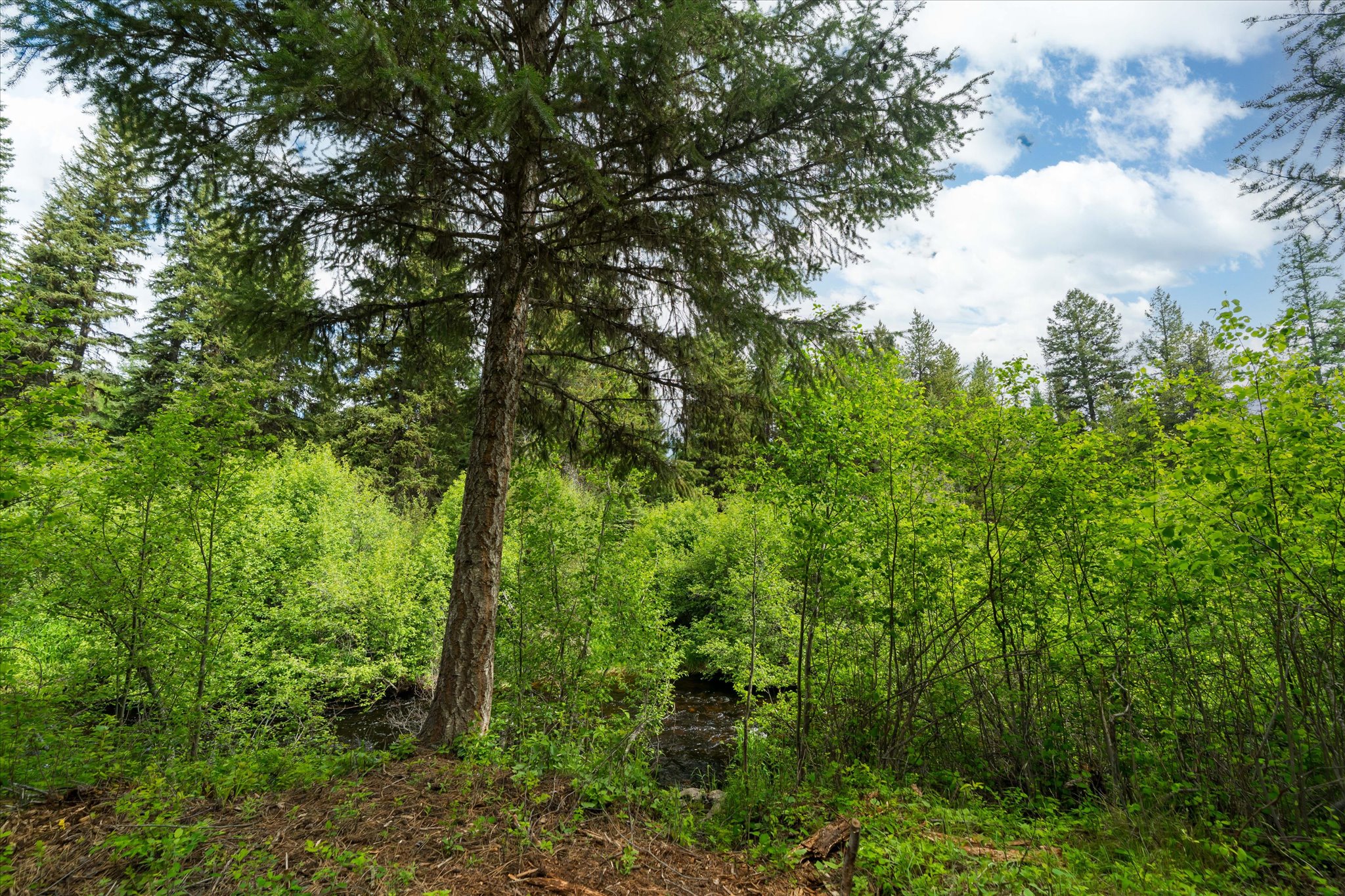 58 Loon Connector Road Property Photo 13