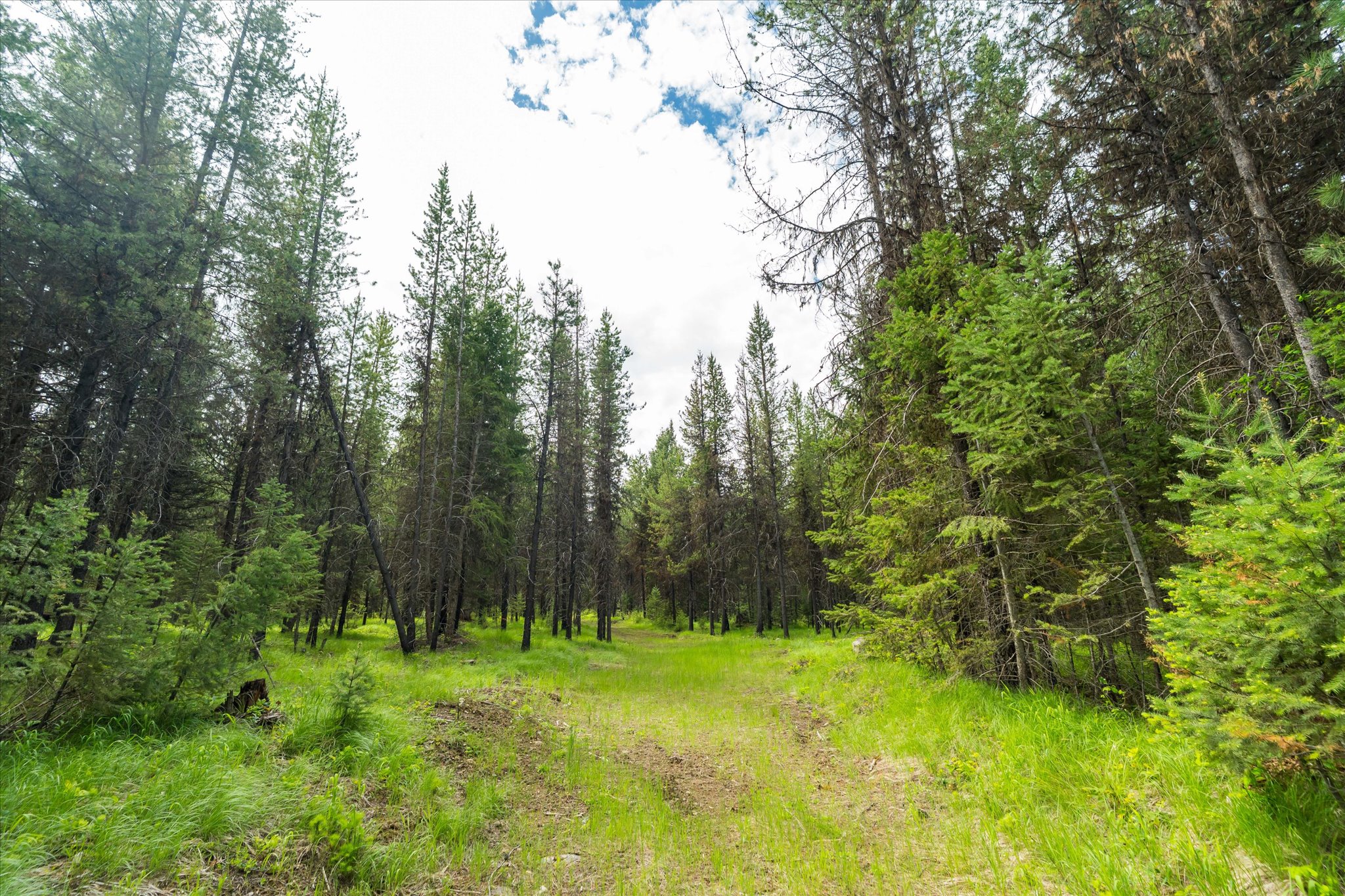 58 Loon Connector Road Property Photo 17