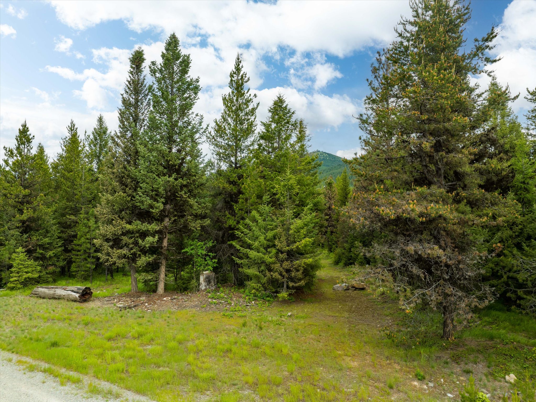 58 Loon Connector Road Property Photo 34