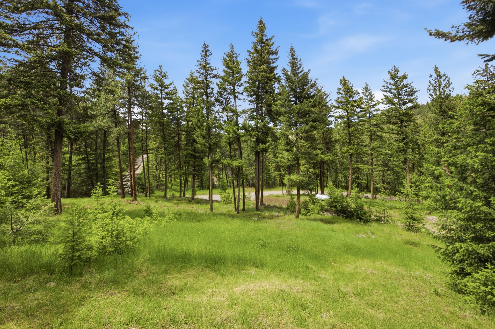 9494 Cedar Ridge Road Property Photo 44
