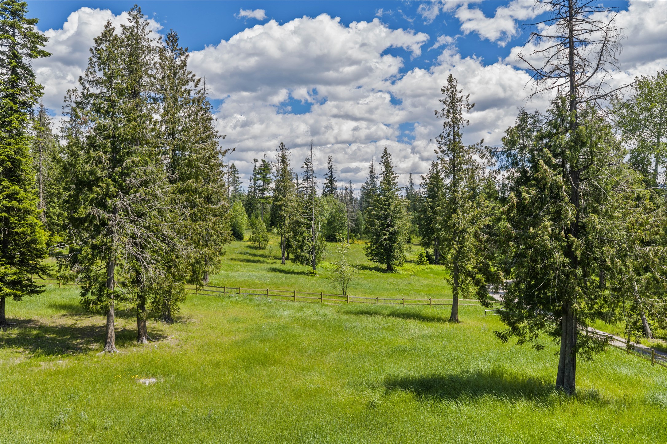 214 Rusty Spur Trail Property Photo 52